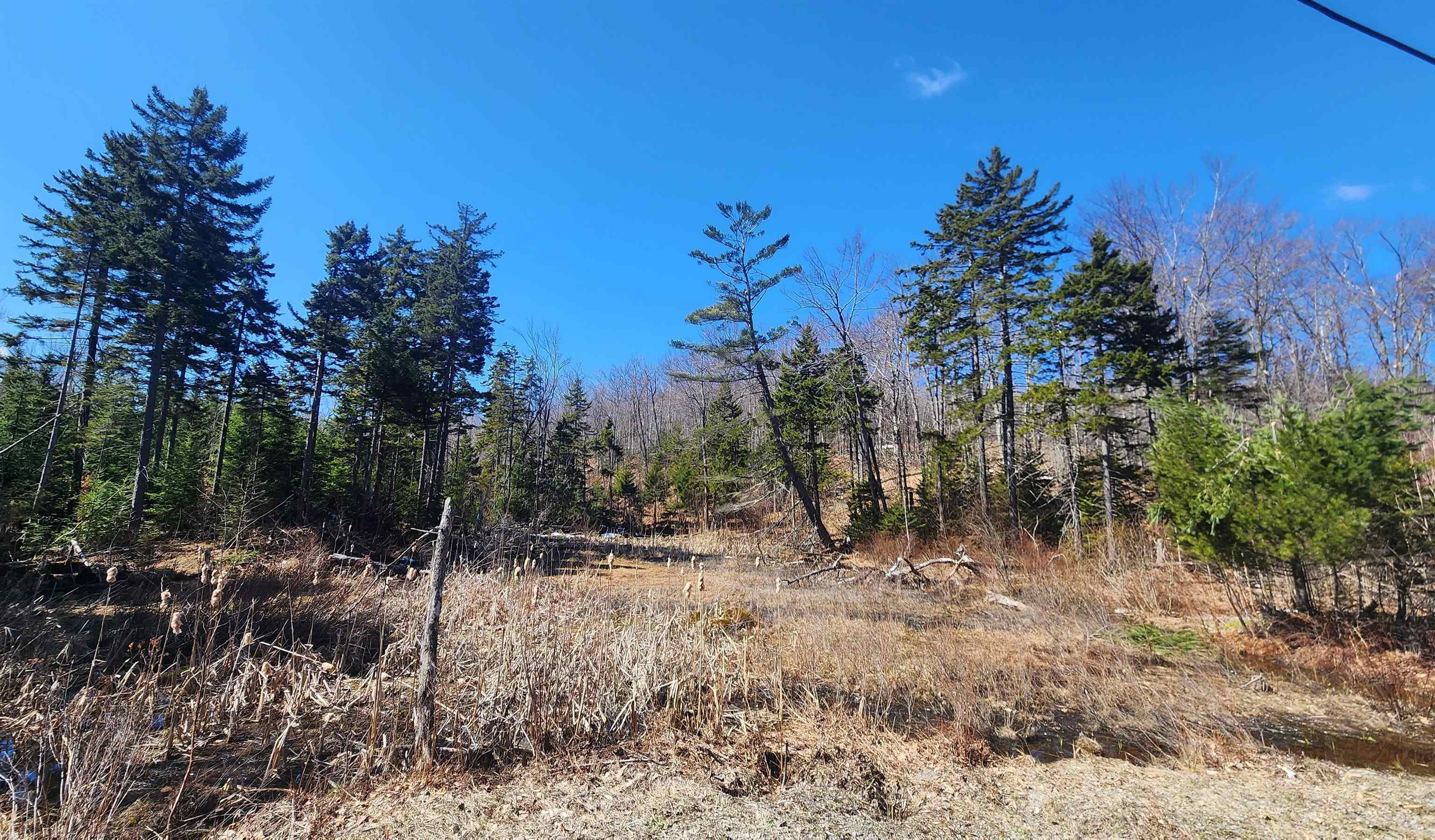 Homes for sale in Andover, VT | 00 East Hill Rd, Andover, VT 05143 | MLS# 5041667