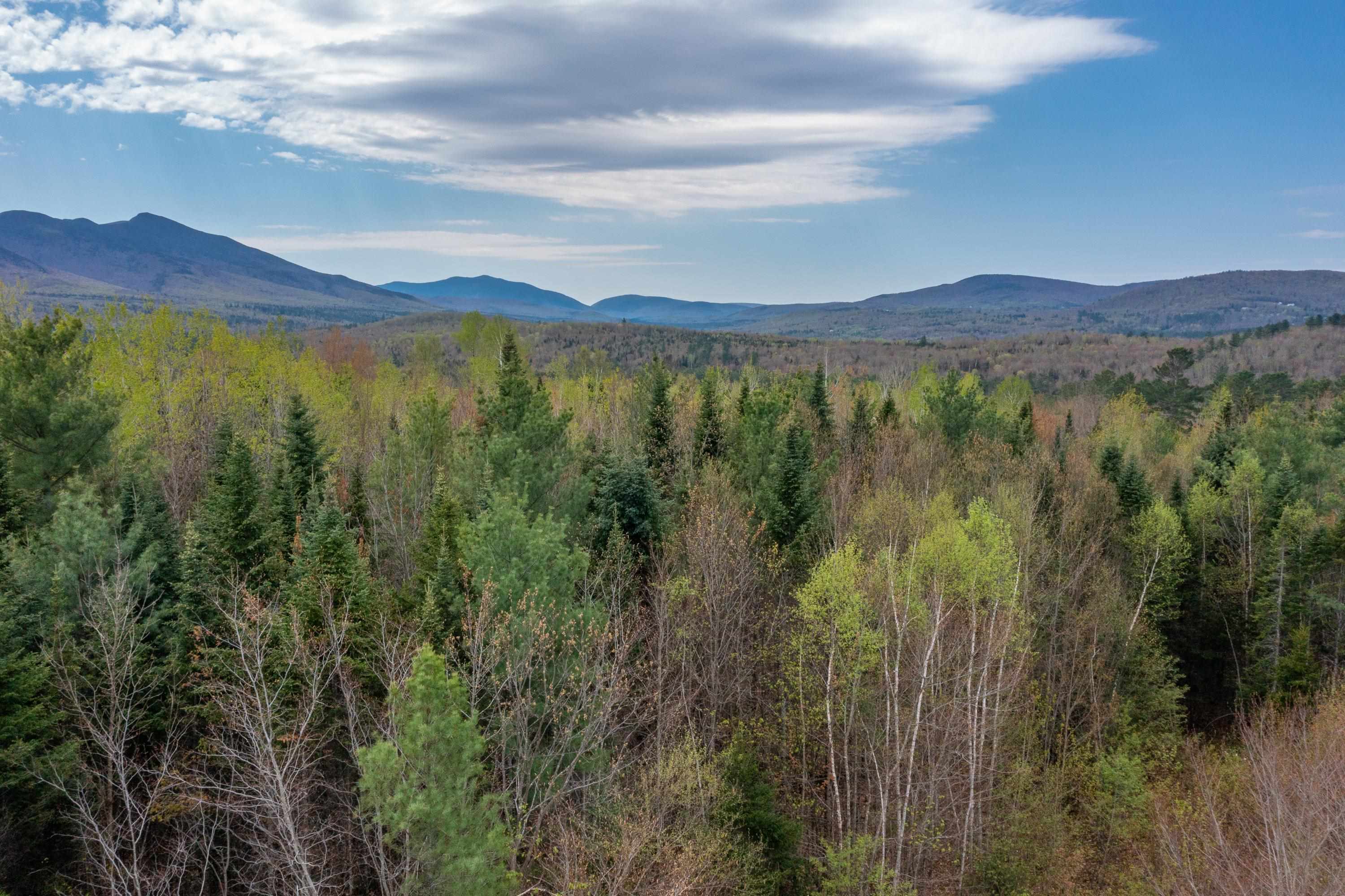 Map 8 Lot 22 Indian Pipe Rd, Franconia, NH 03580