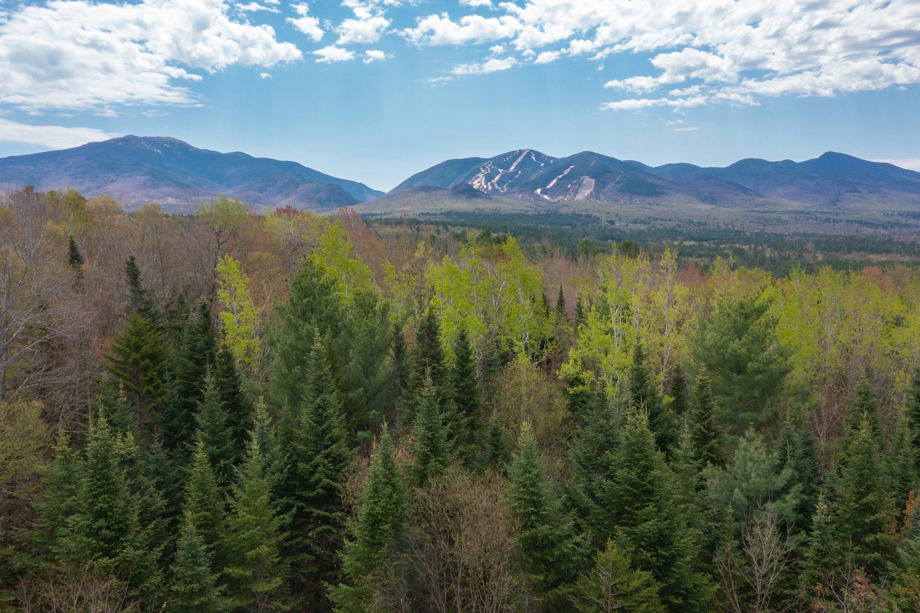 Homes for sale in Franconia, NH | Map 8 Lot 22 Indian Pipe Rd, Franconia, NH 03580 | MLS# 5041733
