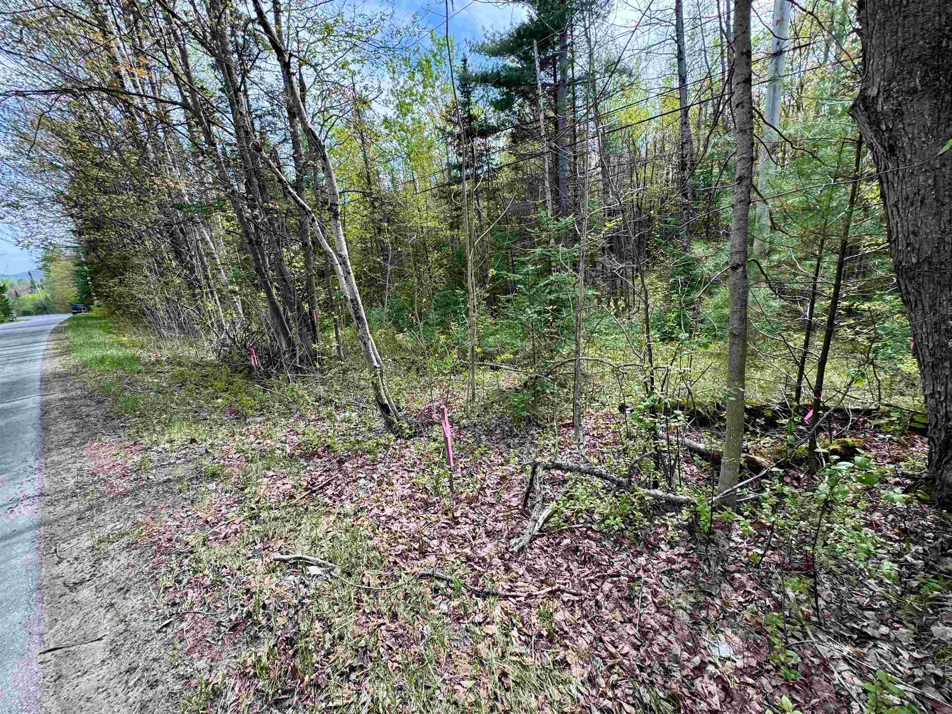 Homes for sale in Concord, VT | 00 Oregon Rd, Concord, VT 05824 | MLS# 5041746