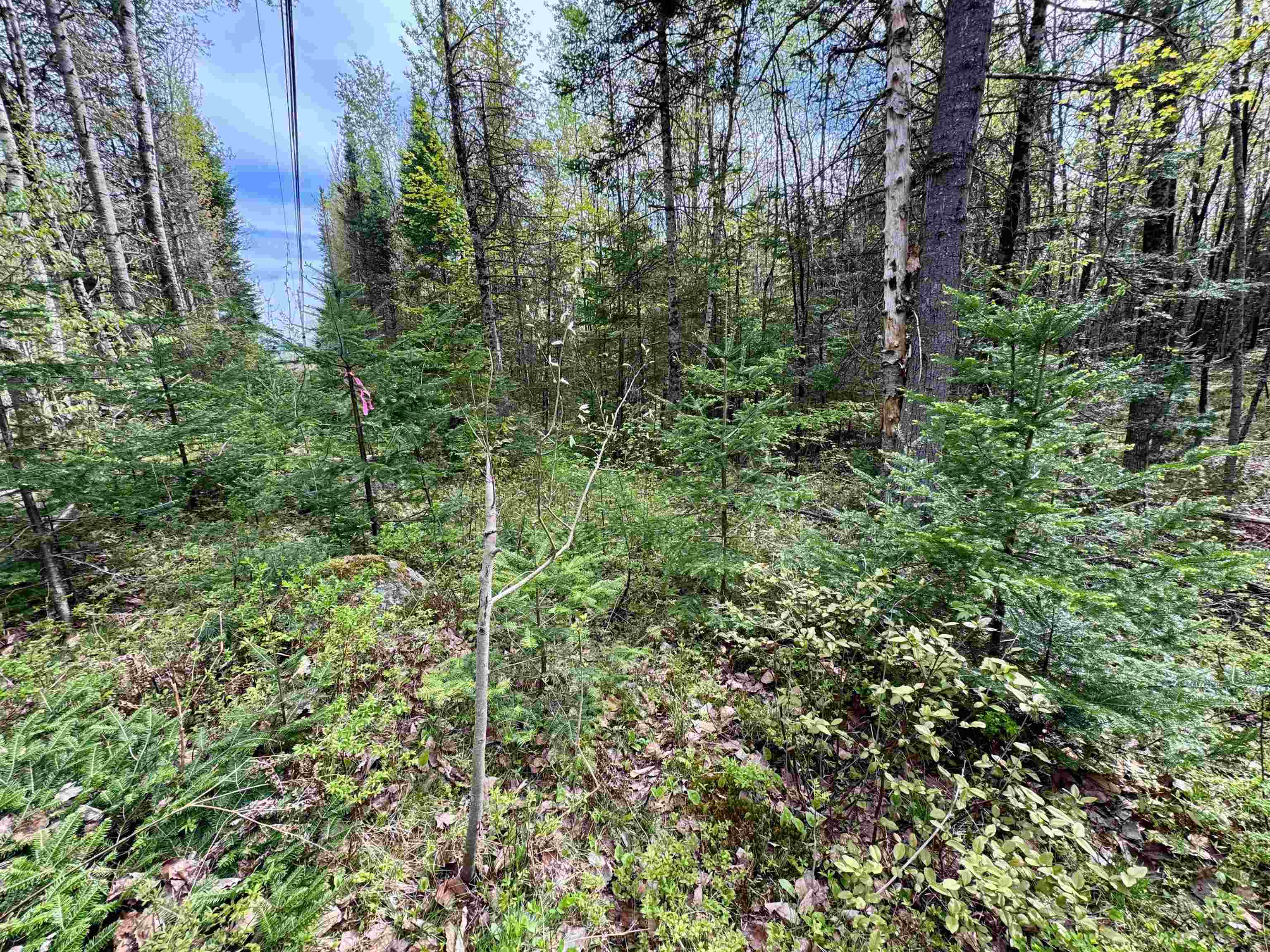 Homes for sale in Concord, VT | 00 Oregon Rd, Concord, VT 05824 | MLS# 5041746