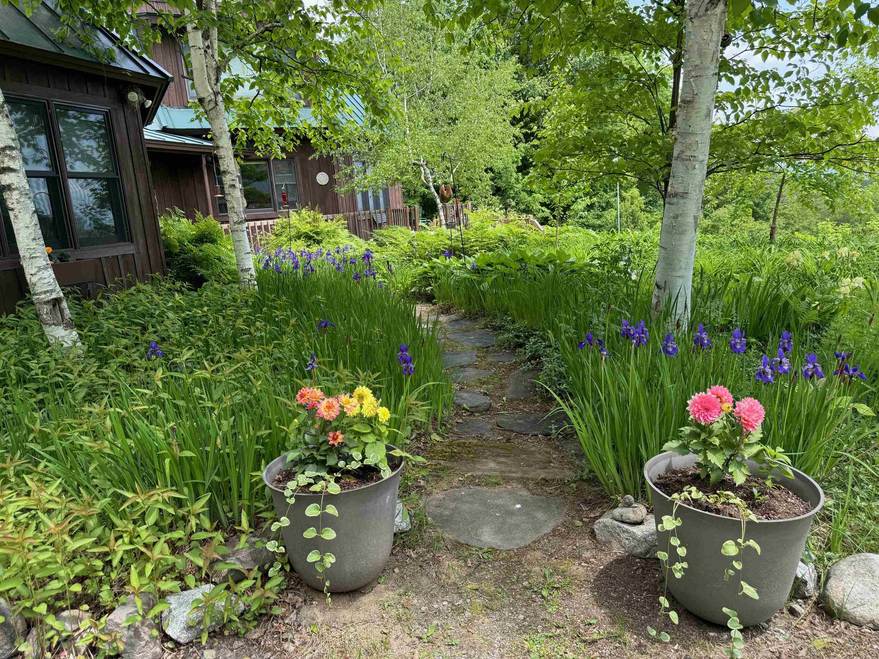 Homes for sale in Topsham, VT | 133 Ben Dexter Rd, Topsham, VT 05076 | MLS# 5041755