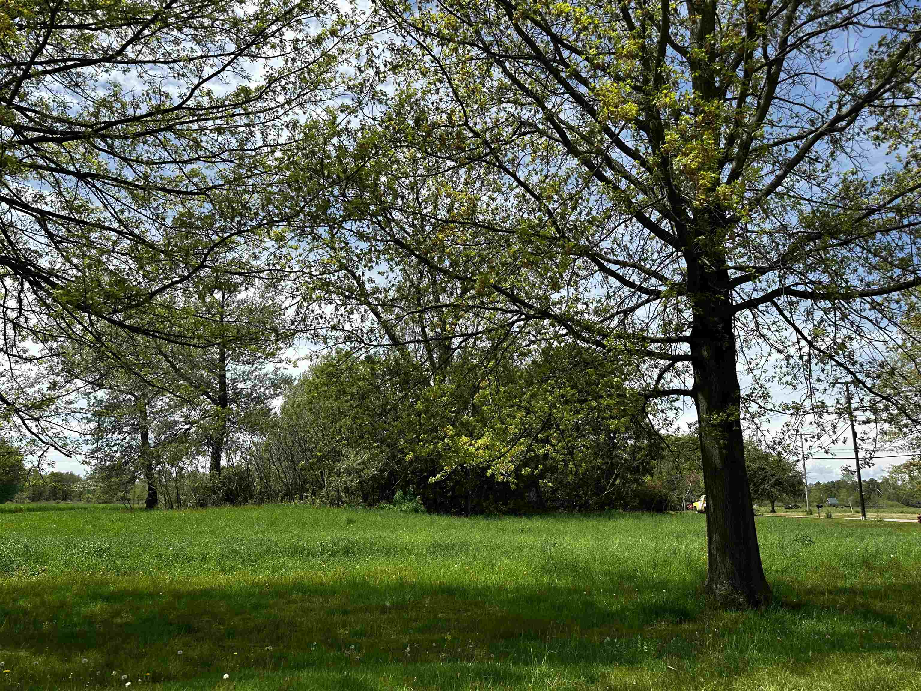 Homes for sale in Middlebury, VT | 2 Wilmar St, Middlebury, VT 05740 | MLS# 5041836