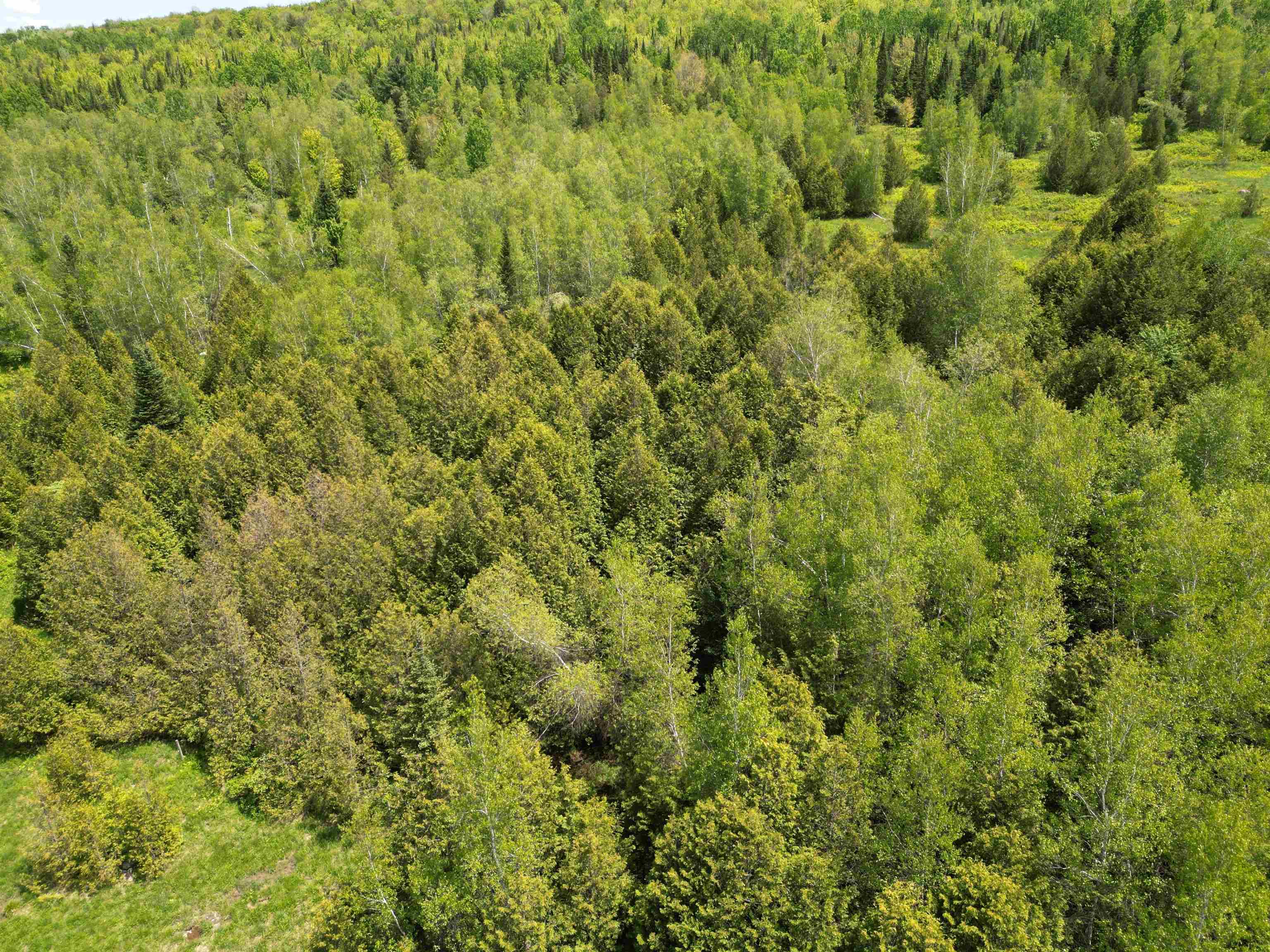 Homes for sale in Newport Town, VT | Tetreault Rd, Newport Town, VT 05857 | MLS# 5041916