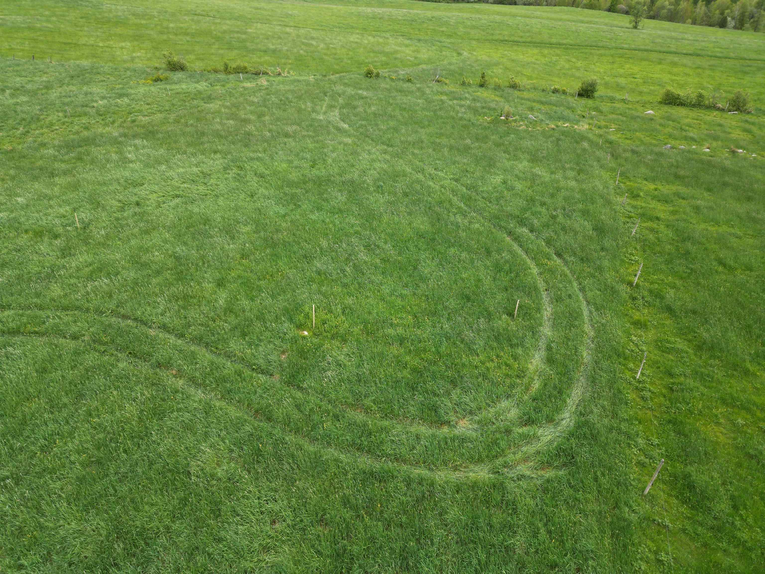 Homes for sale in Newport Town, VT | Tetreault Rd, Newport Town, VT 05857 | MLS# 5041916