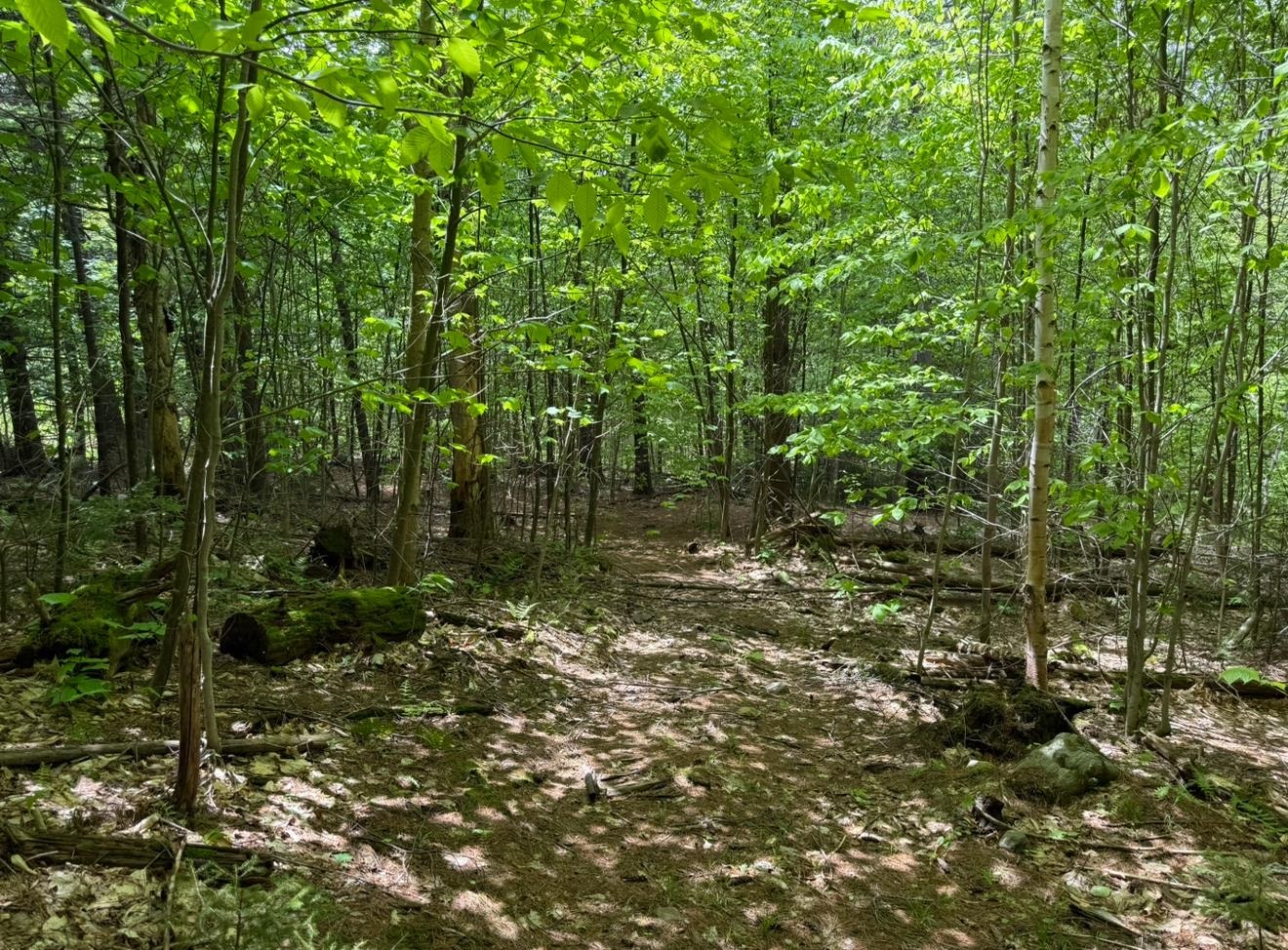 Homes for sale in Dover, VT | Lot 2 North St, Dover, VT 05431 | MLS# 5042055