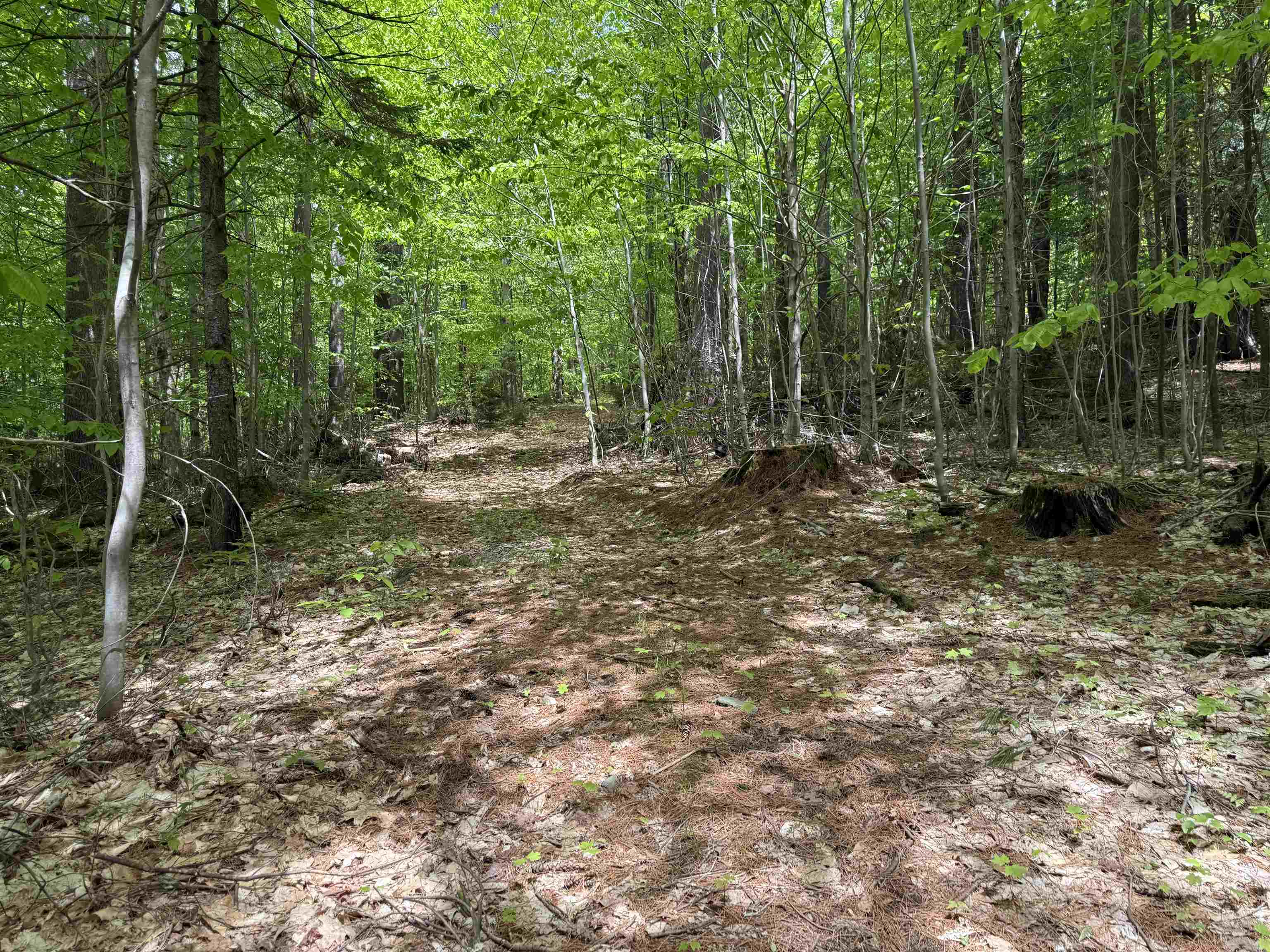 Homes for sale in Dover, VT | Lot 3 North St, Dover, VT 05431 | MLS# 5042082