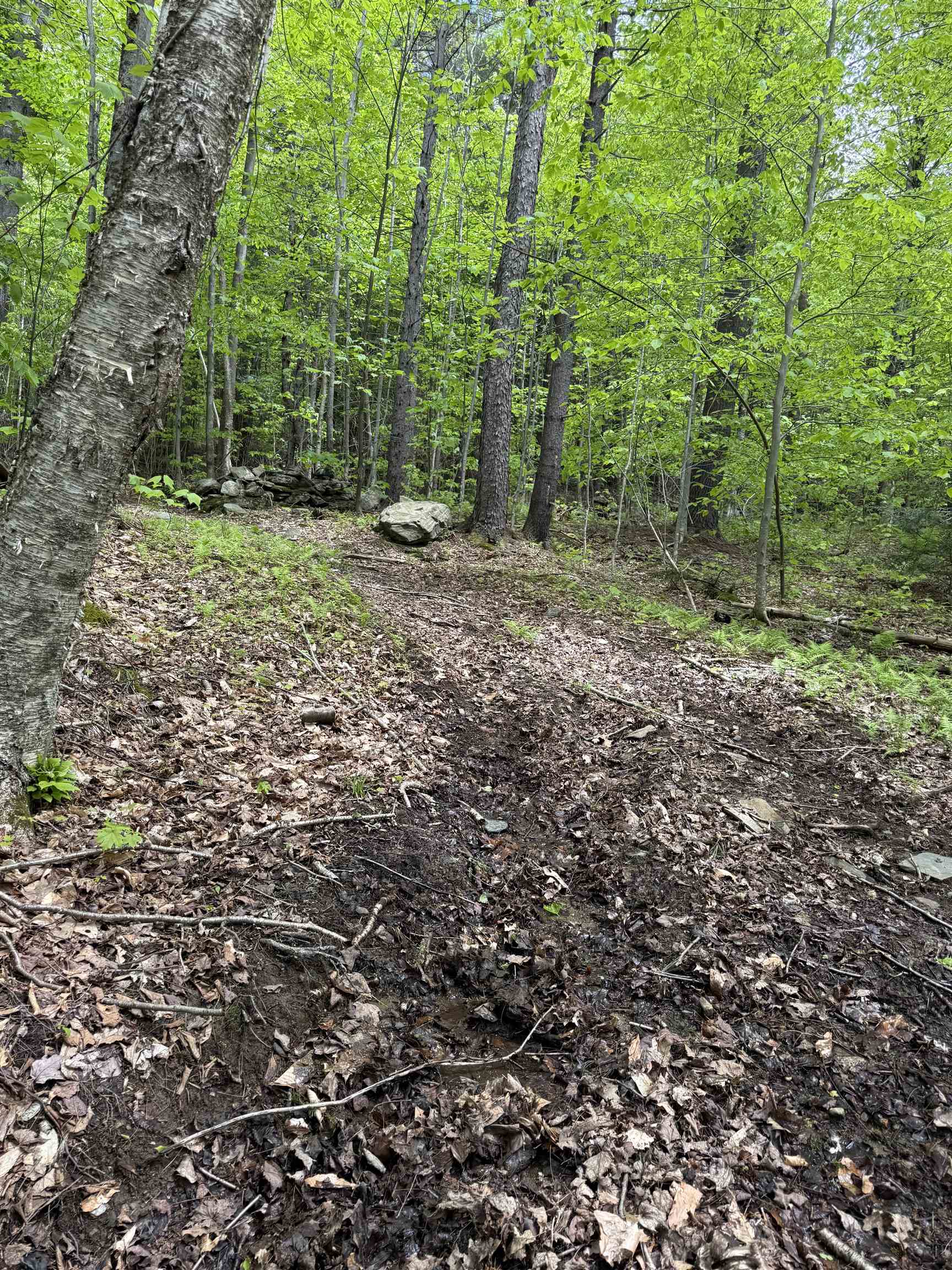 Homes for sale in Dover, VT | Lot 3 North St, Dover, VT 05431 | MLS# 5042082