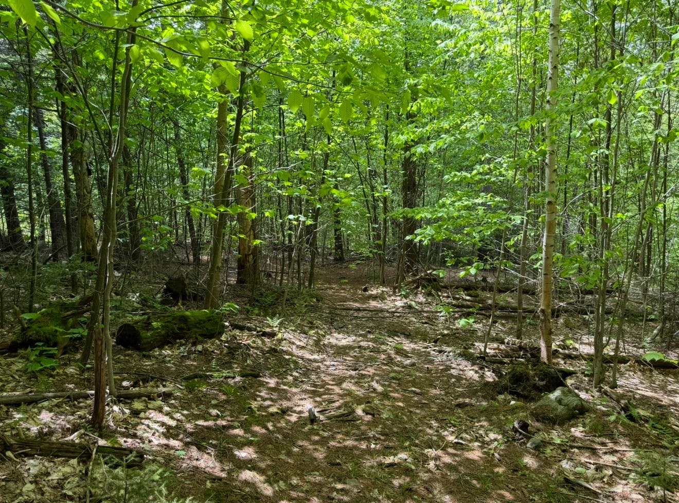 Homes for sale in Dover, VT | 189 North St, Dover, VT 05431 | MLS# 5042100