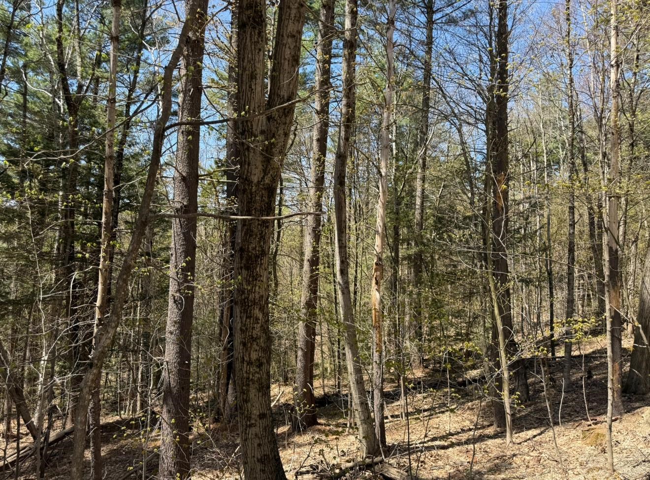 Homes for sale in Dover, VT | 189 North St, Dover, VT 05431 | MLS# 5042100