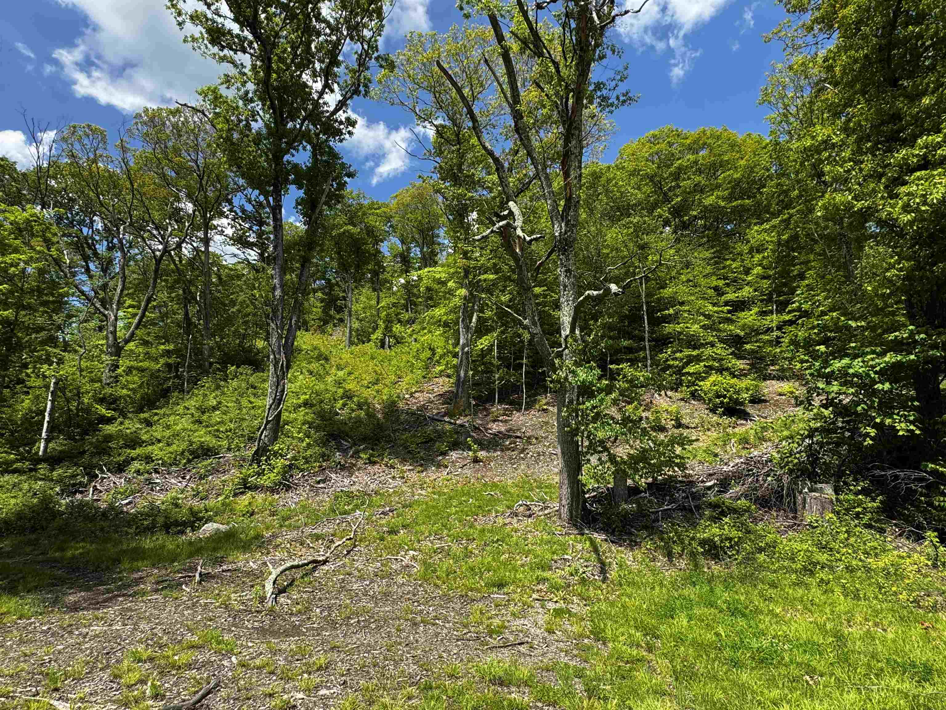 Homes for sale in Sandgate, VT | 0 West Sandgate/ Sandgate Rd, Sandgate, VT 05250 | MLS# 5042174