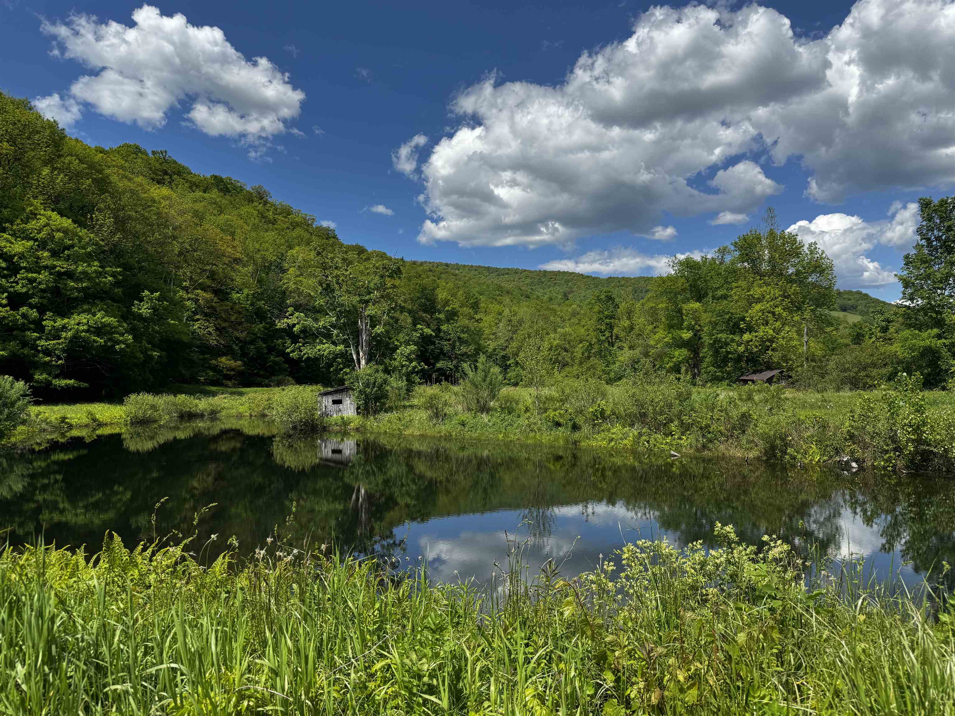 Homes for sale in Sandgate, VT | 0 West Sandgate/ Sandgate Rd, Sandgate, VT 05250 | MLS# 5042174