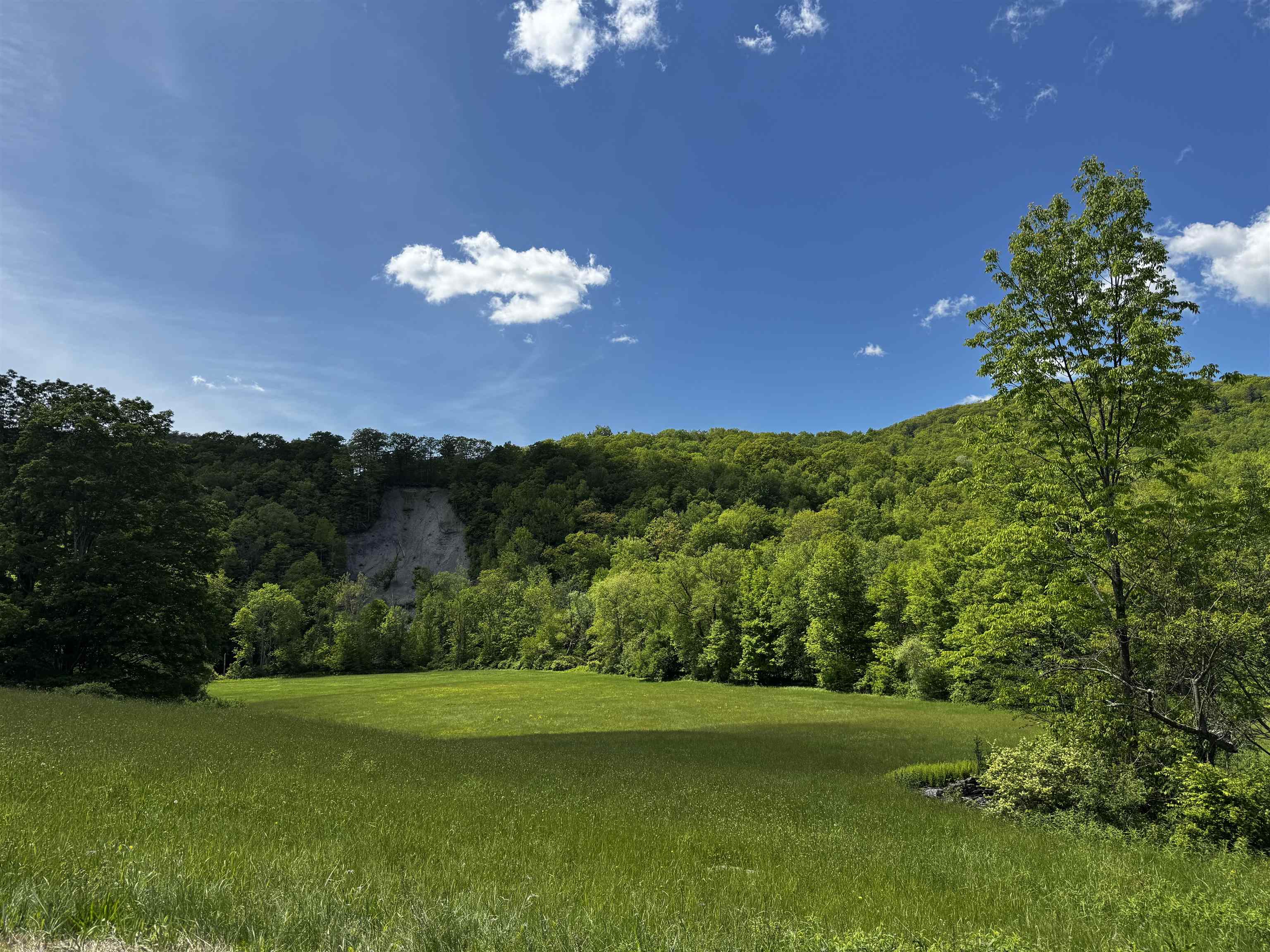 Homes for sale in Sandgate, VT | 0 West Sandgate/ Sandgate Rd, Sandgate, VT 05250 | MLS# 5042174