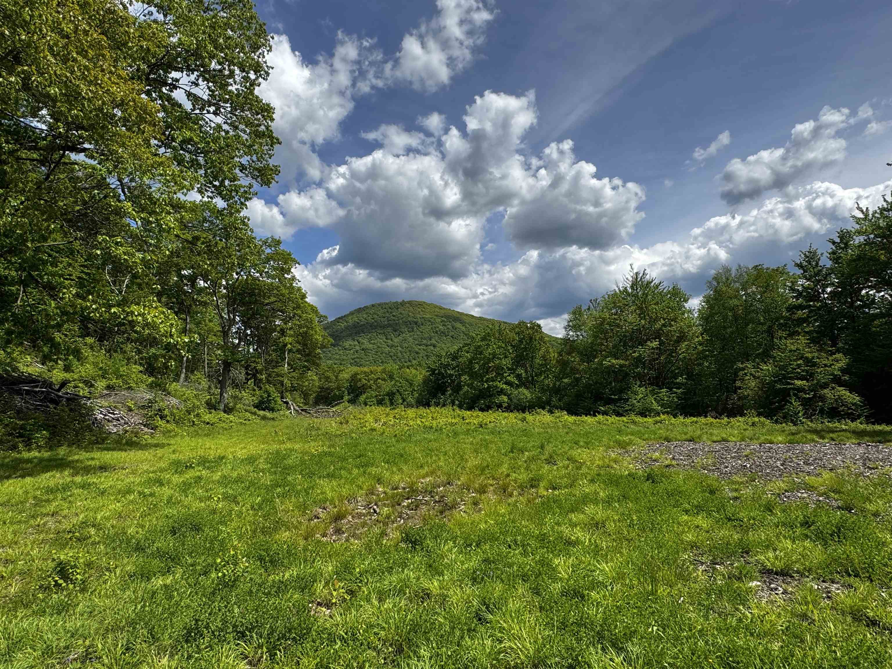 Homes for sale in Sandgate, VT | 0 West Sandgate/ Sandgate Rd, Sandgate, VT 05250 | MLS# 5042174