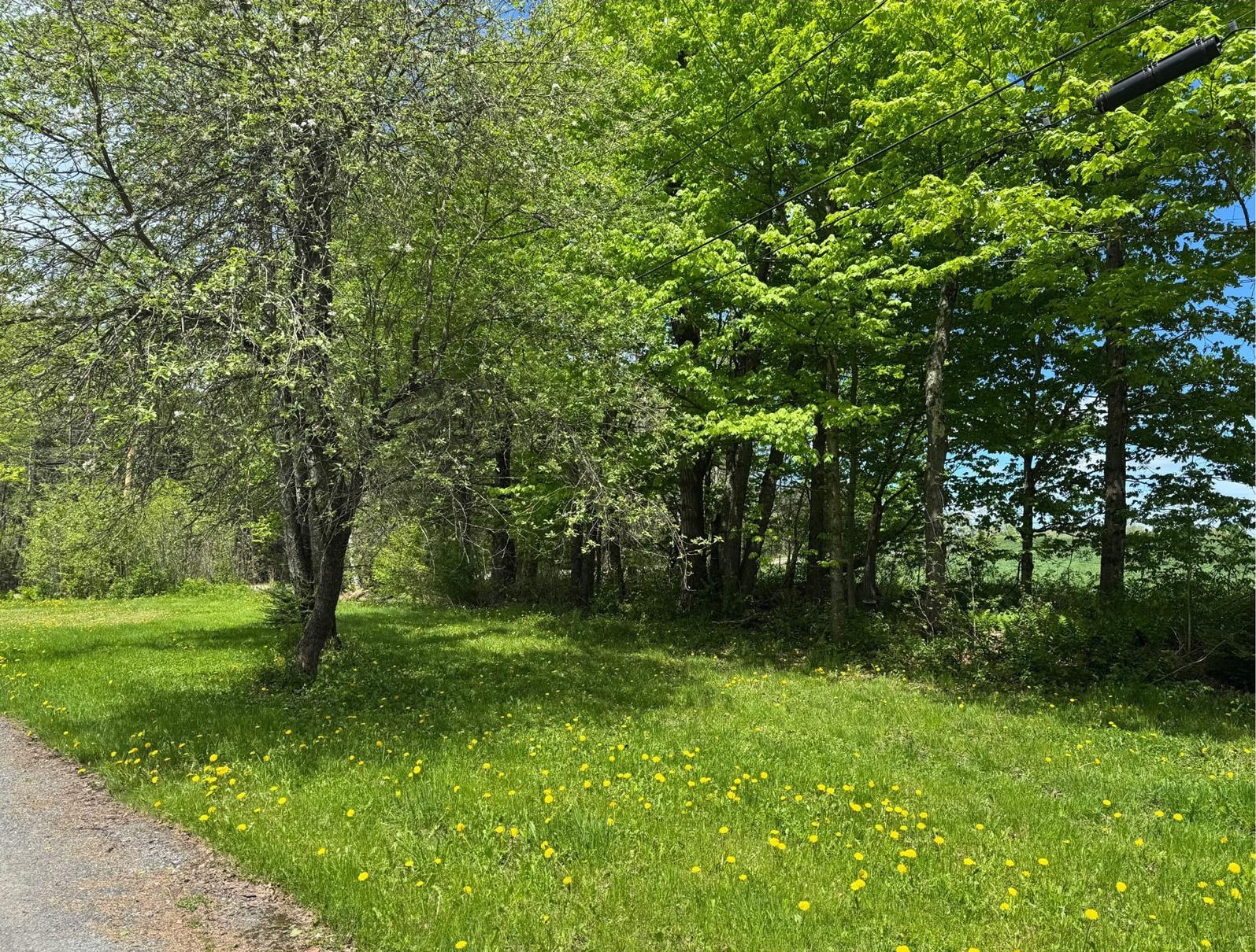 Homes for sale in Burke, VT | 24 A Frame Dr, Burke, VT 05871 | MLS# 5042247