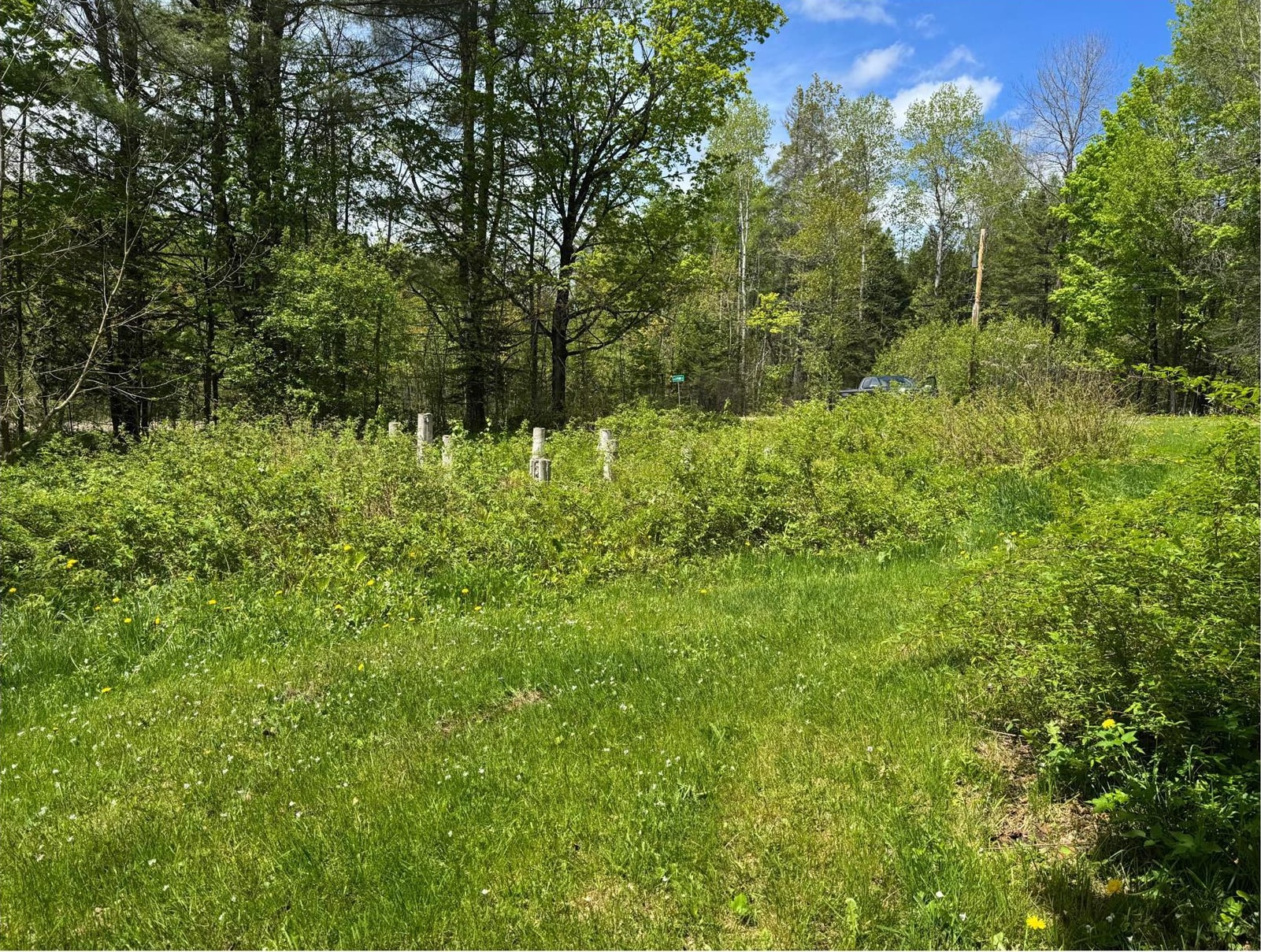 Homes for sale in Burke, VT | 24 A Frame Dr, Burke, VT 05871 | MLS# 5042247