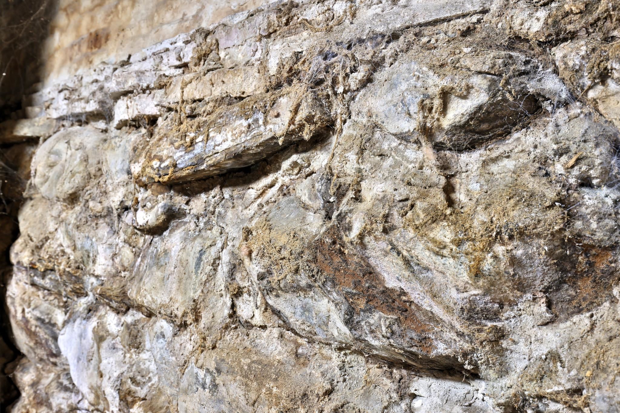 MLS #5042292 image #48