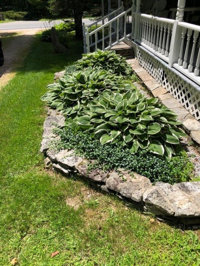 MLS #5042292 image #55