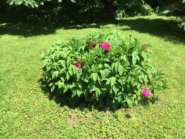 MLS #5042292 image #57