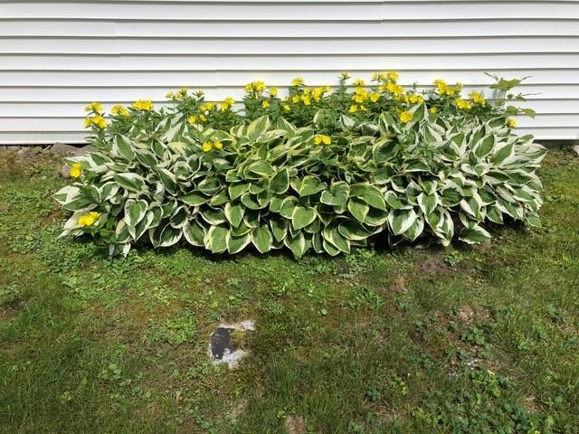 MLS #5042292 image #58