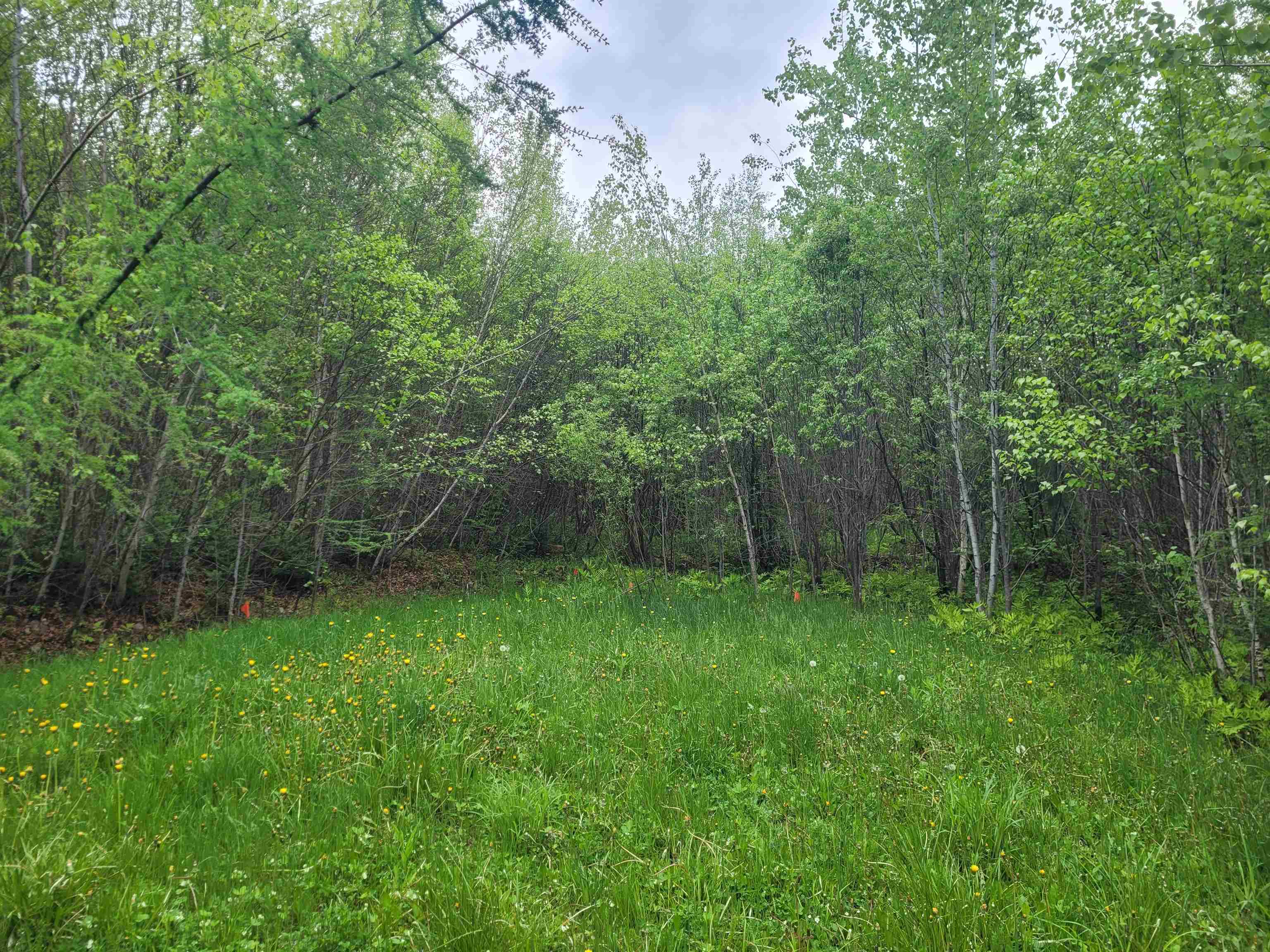 Homes for sale in Whitefield, NH | 170 South Whitefield Rd, Whitefield, NH 03598 | MLS# 5042380