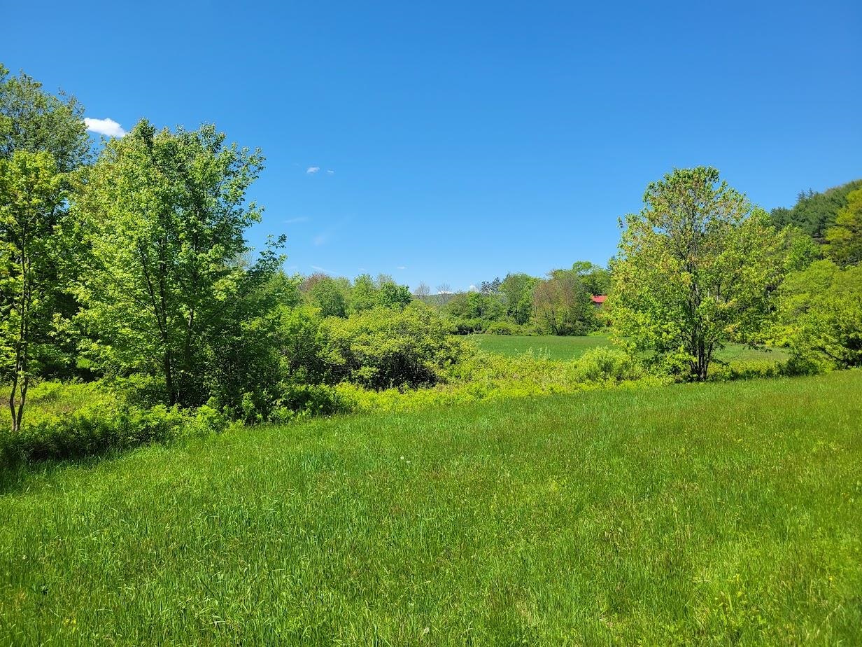 MLS #5042399 image #1