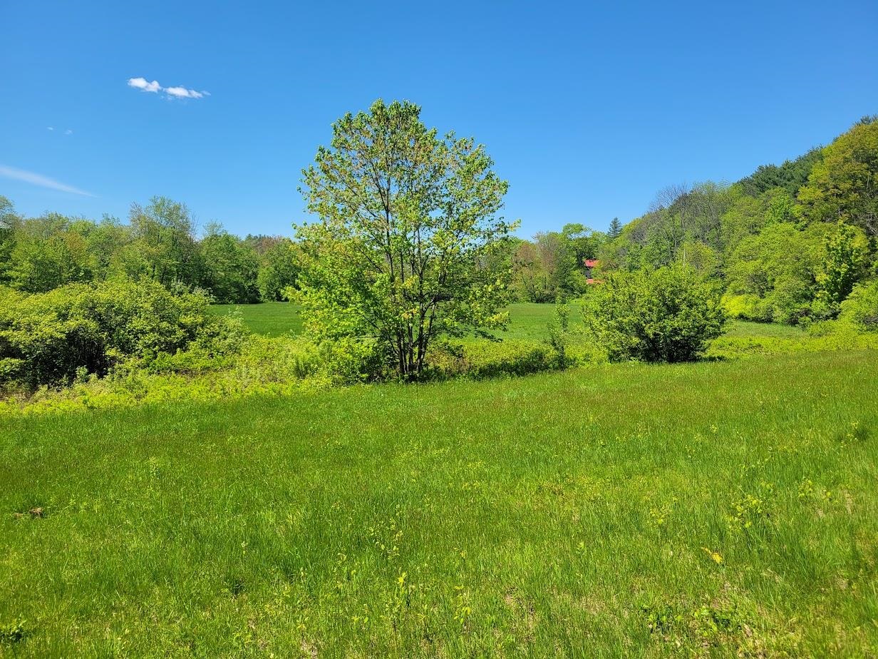 MLS #5042399 image #10