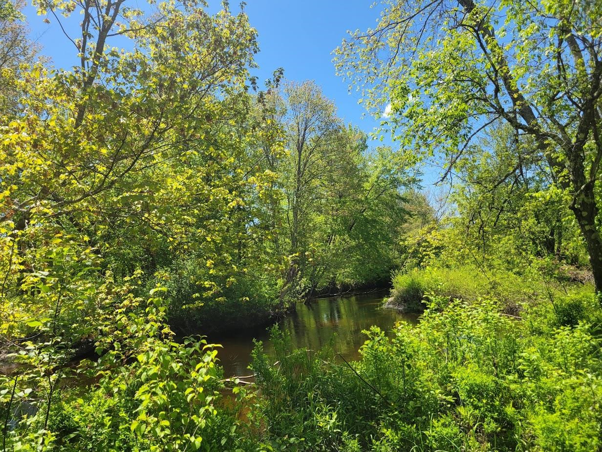 MLS #5042399 image #12