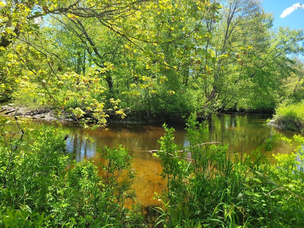 MLS #5042399 image #2