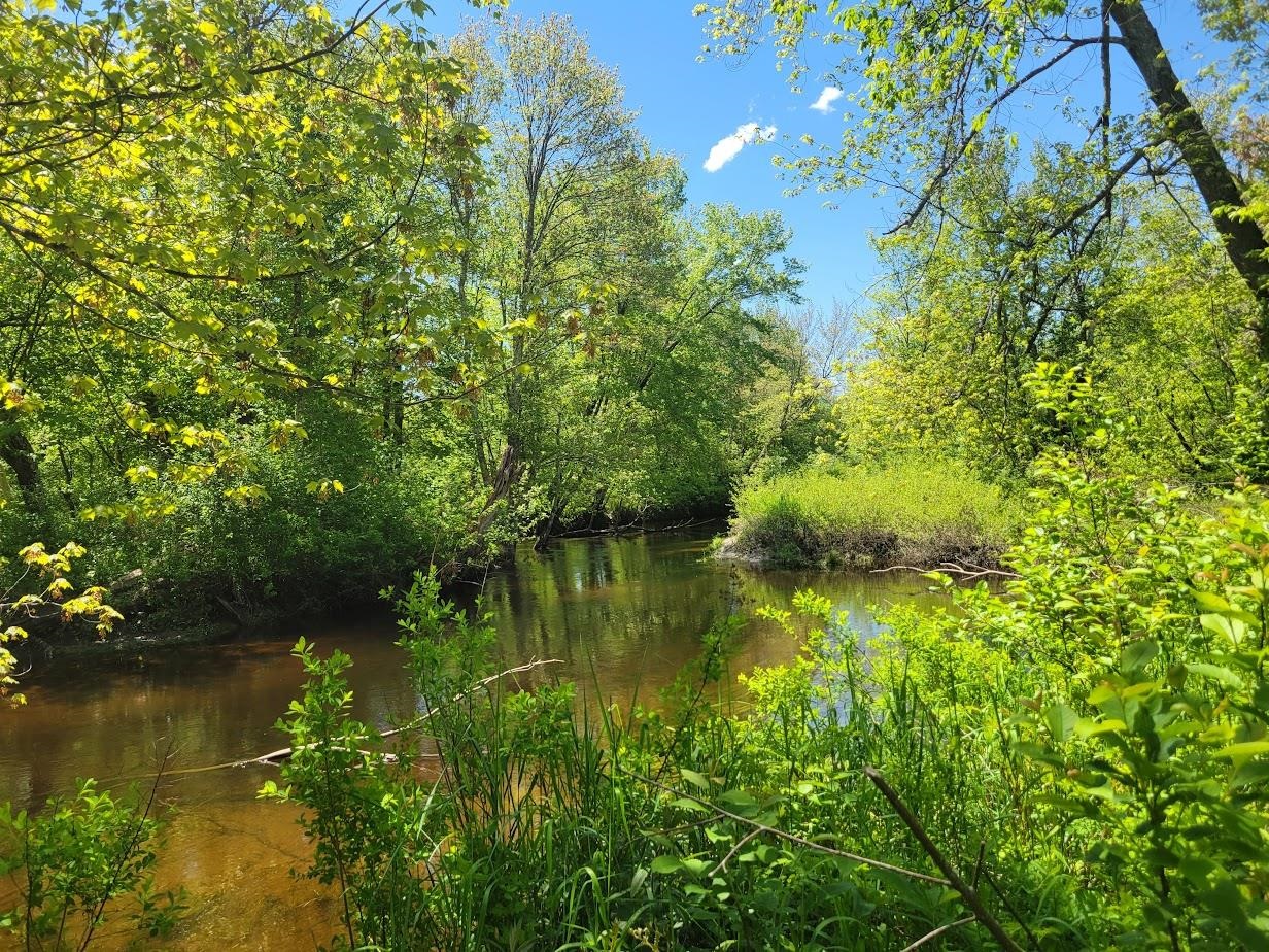 MLS #5042399 image #3