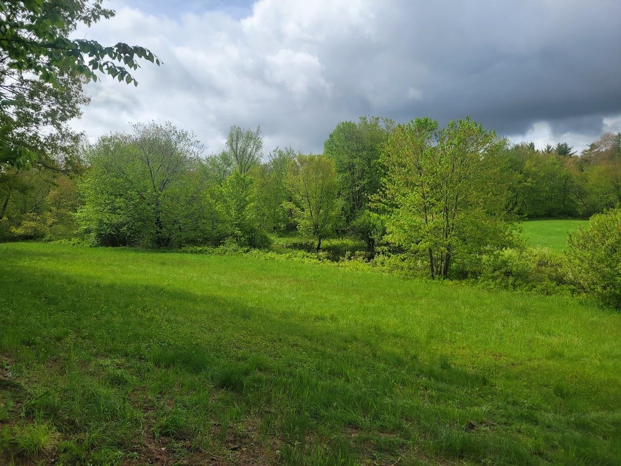 MLS #5042399 image #4