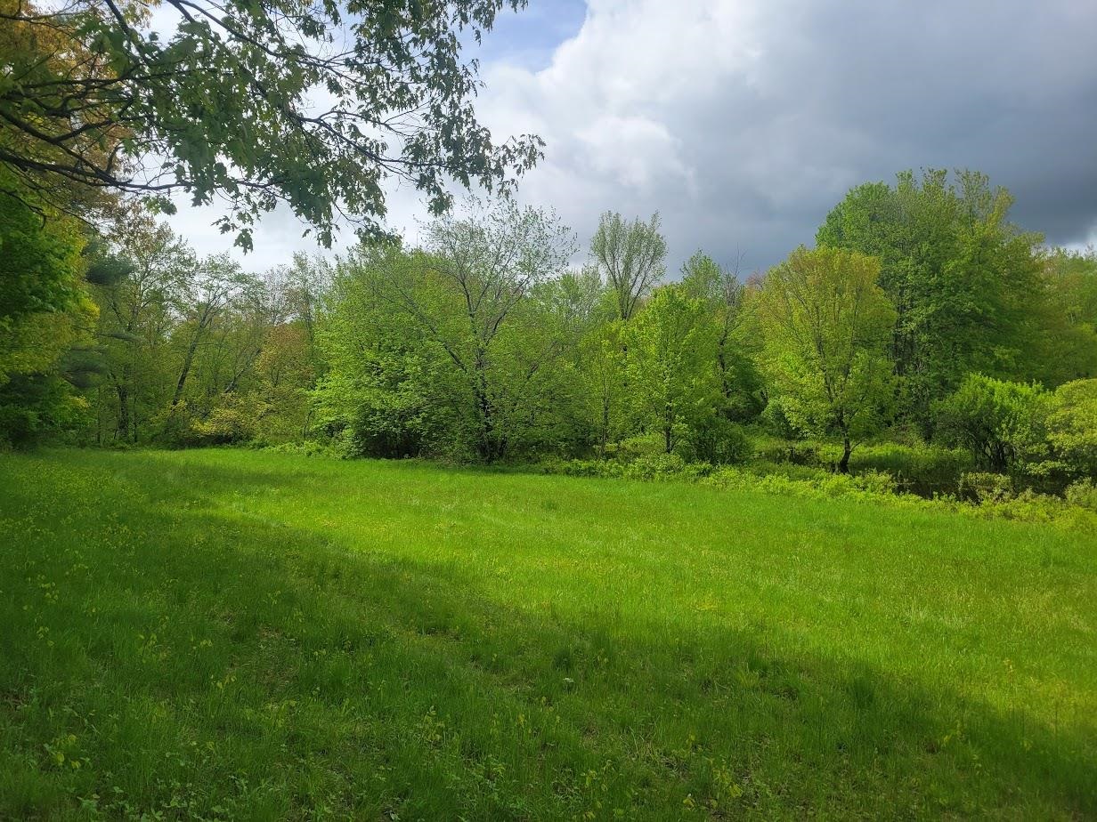 MLS #5042399 image #5