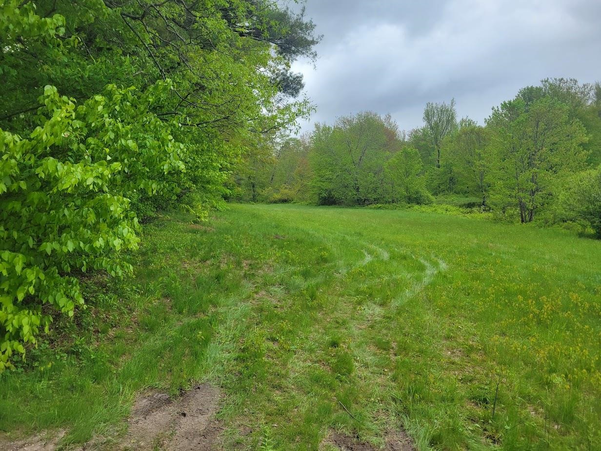 MLS #5042399 image #6