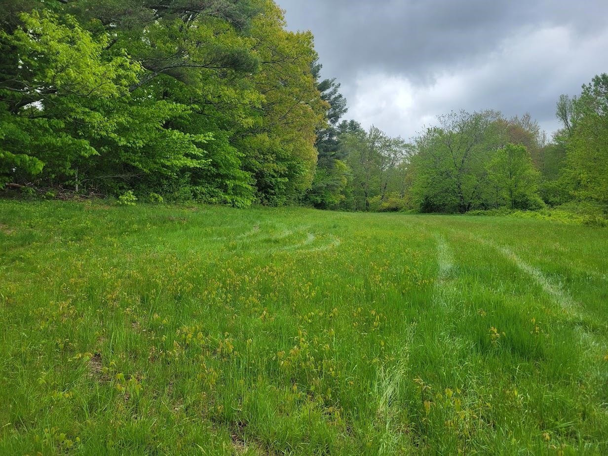 MLS #5042399 image #7