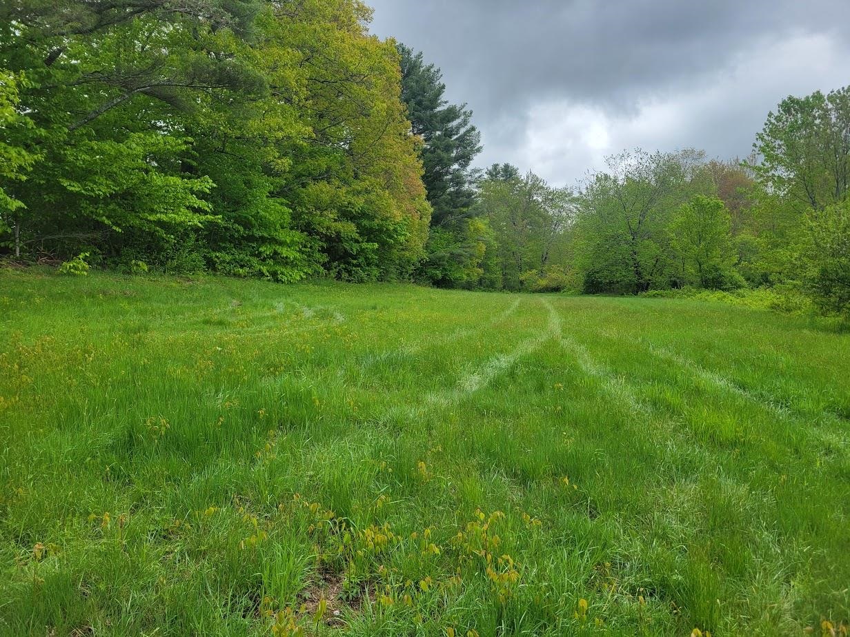 MLS #5042399 image #8