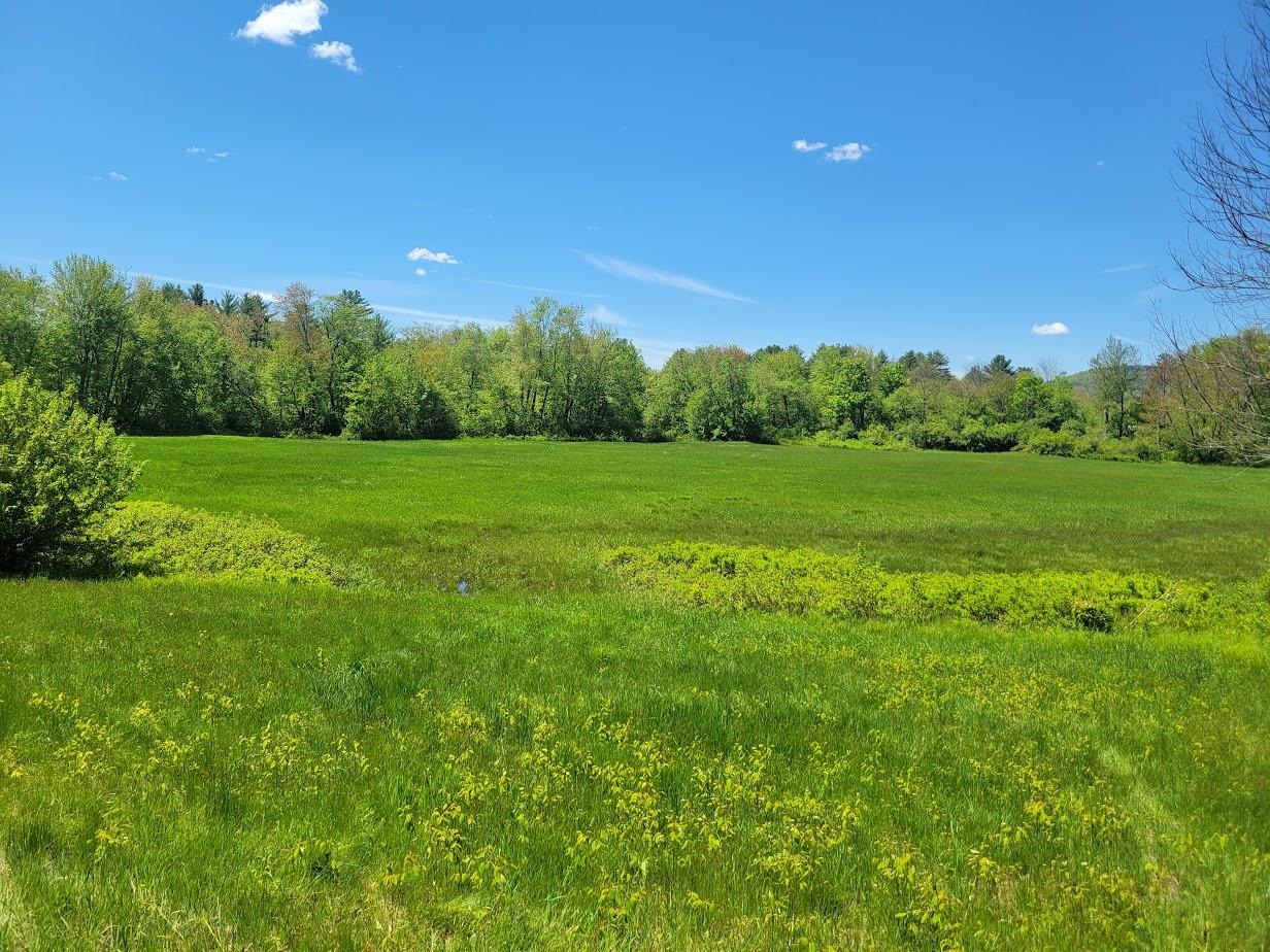 MLS #5042399 image #9