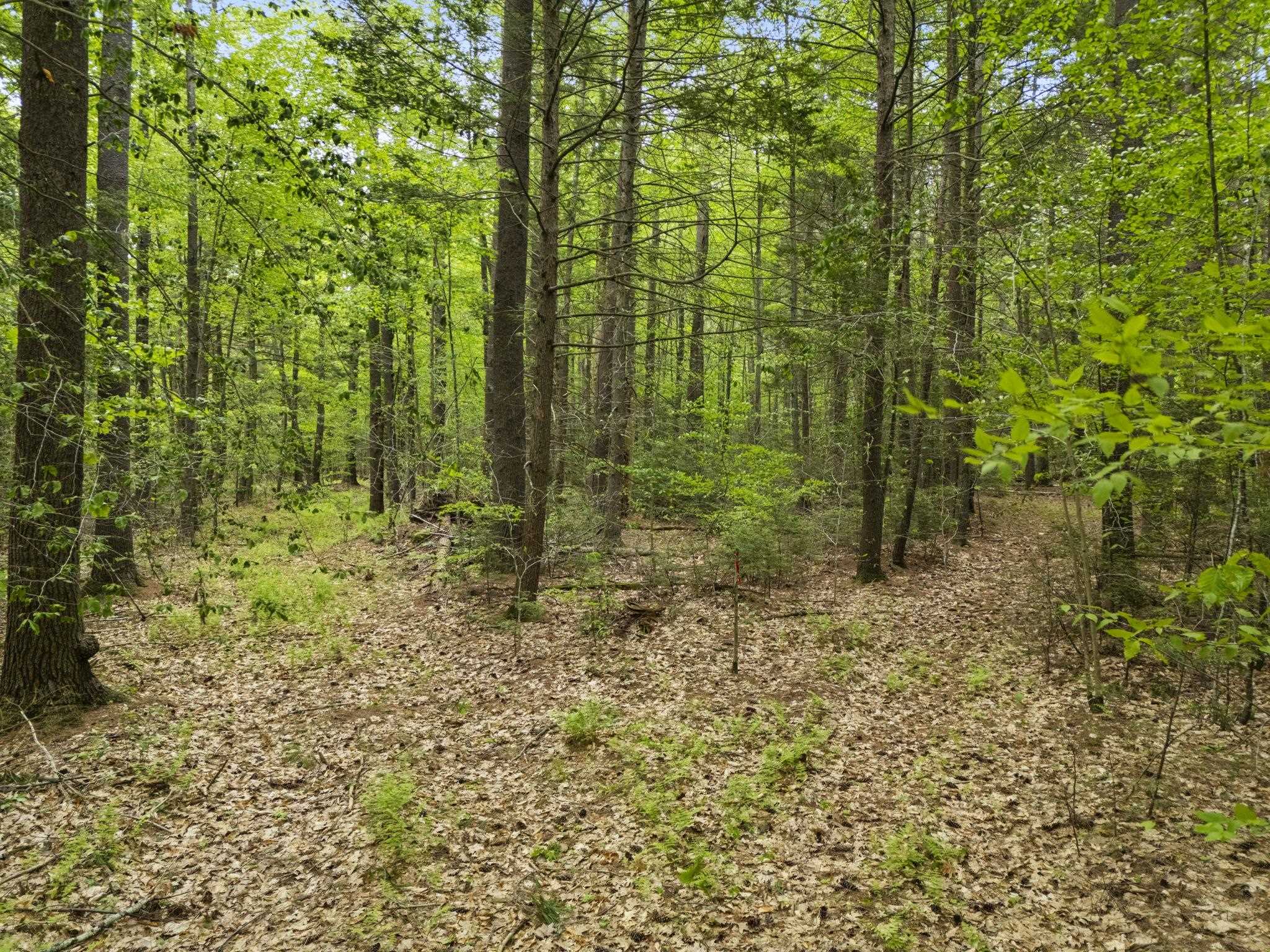 Homes for sale in Kensington, NH | 204 North Haverhill Rd, Kensington, NH 03833 | MLS# 5042479