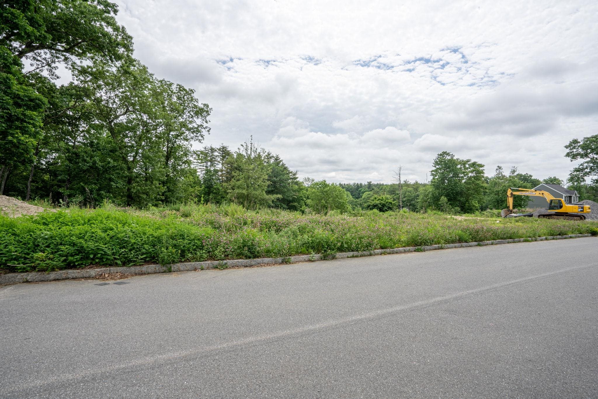 MLS #5042506 image #6