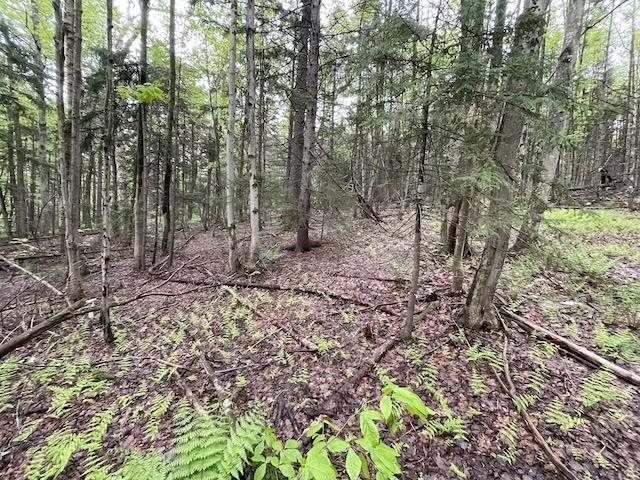 Homes for sale in Marlboro, VT | 0 Honeycomb Hl, Marlboro, VT 05344 | MLS# 5042644