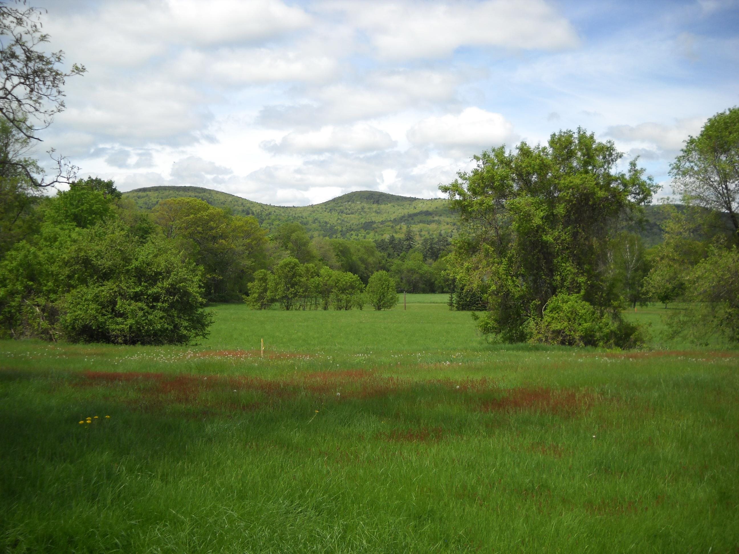 Homes for sale in Orford, NH | 00 Route 10, Orford, NH 03777 | MLS# 5042660