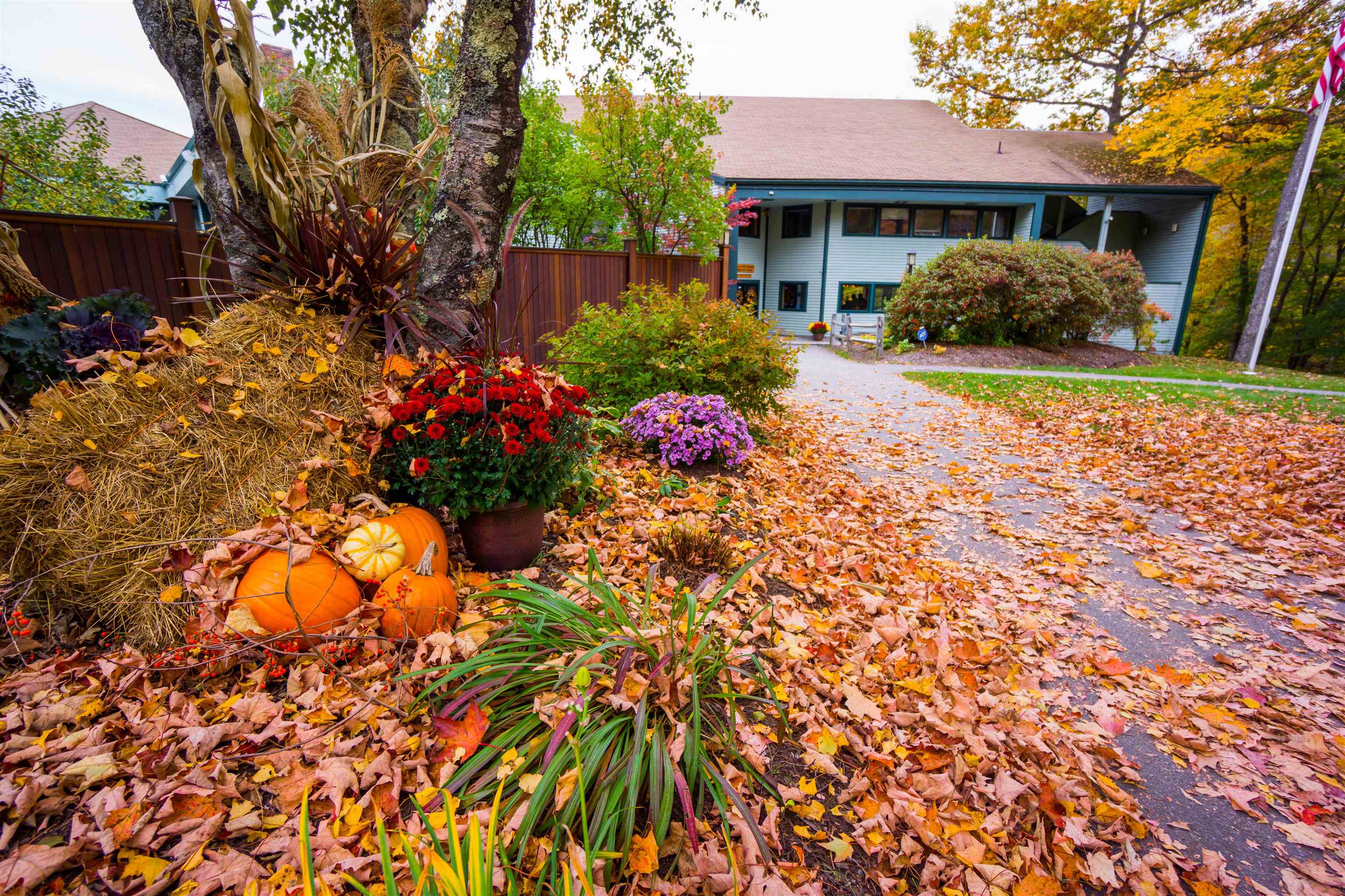 Campton NH Land for sale $$24,000 | 0.26 Acres  | Price Per Acre $0 