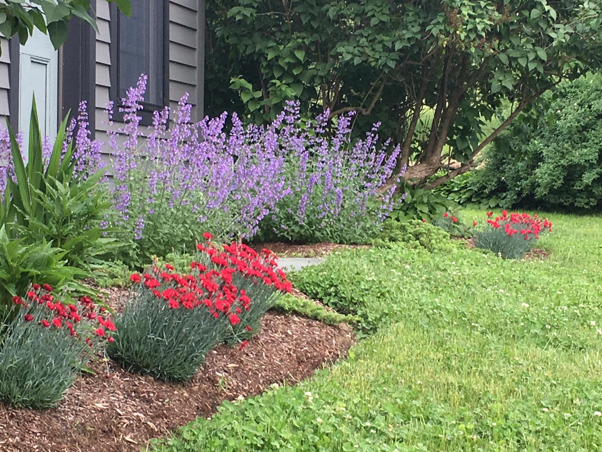 Homes for sale in Stowe, VT | 1186 Pucker St #1.5 acres, Stowe, VT 05672 | MLS# 5042695