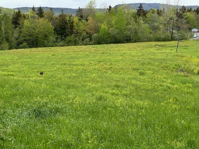 Homes for sale in Dover, VT | 309 Vt Route 100, Dover, VT 05356 | MLS# 5042712