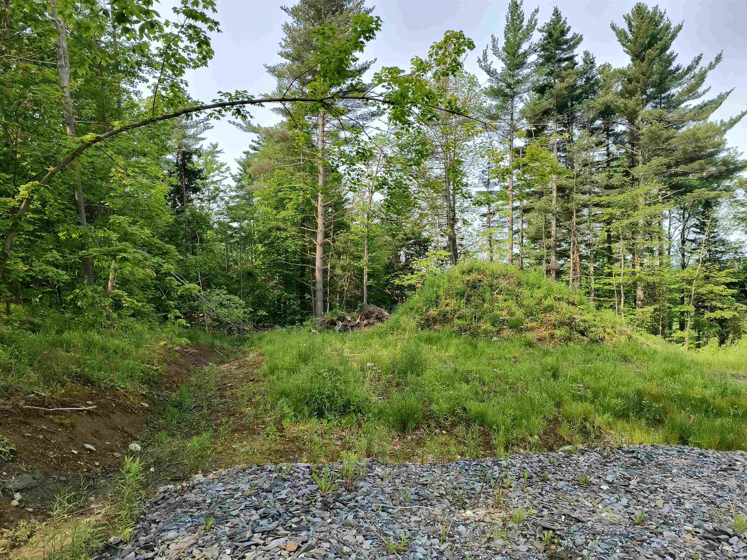 drive looking at house site 23372118