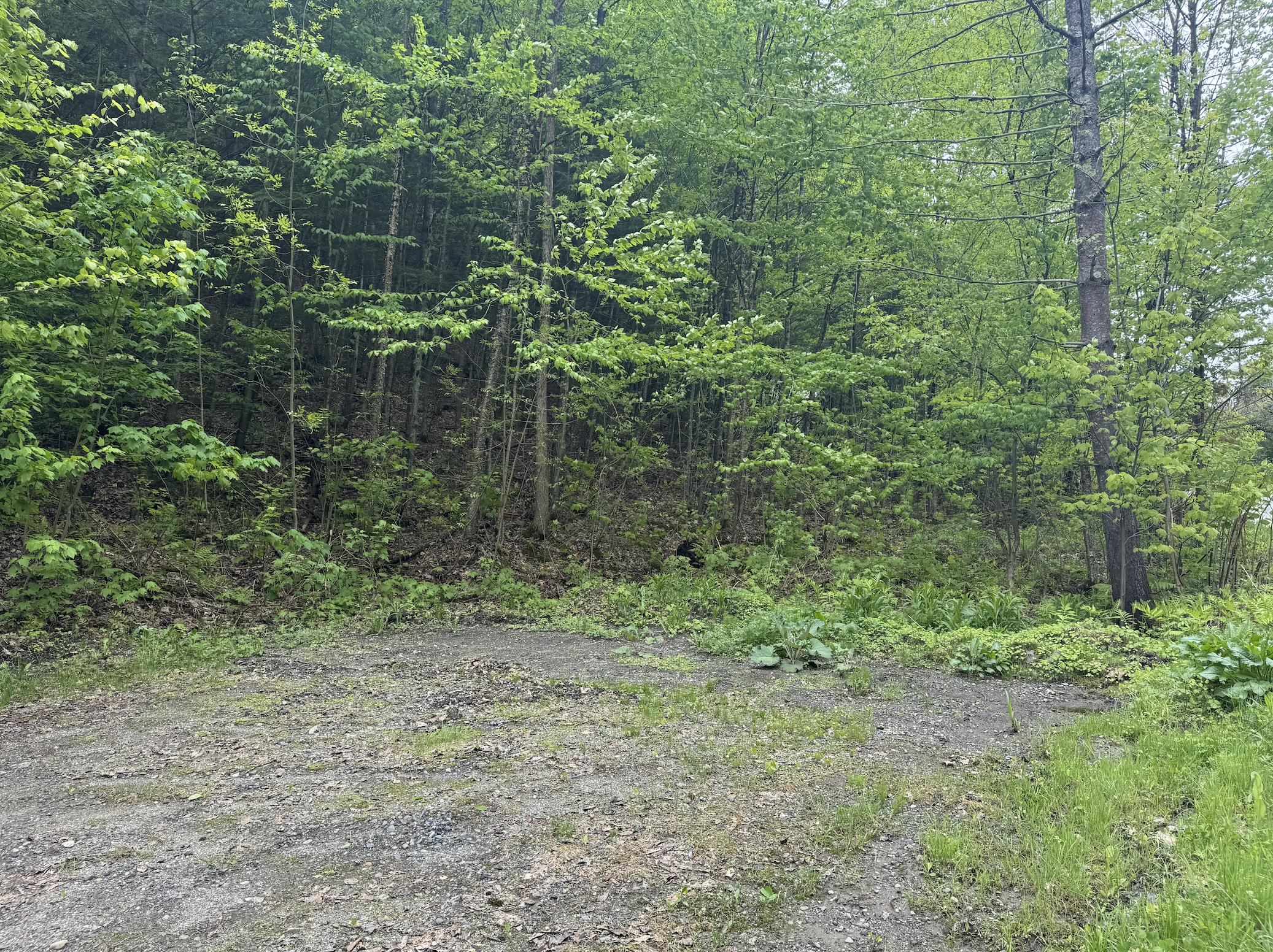 Homes for sale in Montpelier, VT | 72 Northfield St, Montpelier, VT 05602 | MLS# 5042844