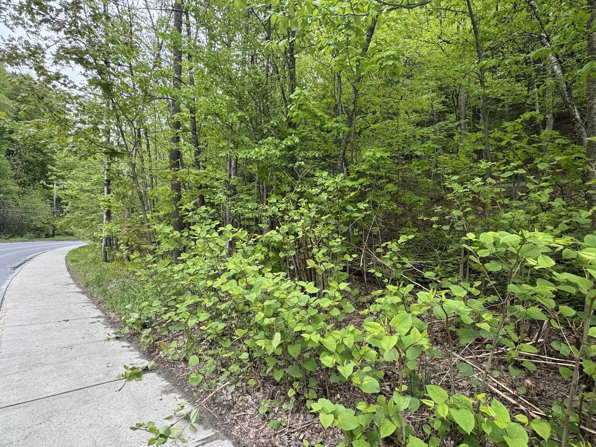 Homes for sale in Montpelier, VT | 72 Northfield St, Montpelier, VT 05602 | MLS# 5042844