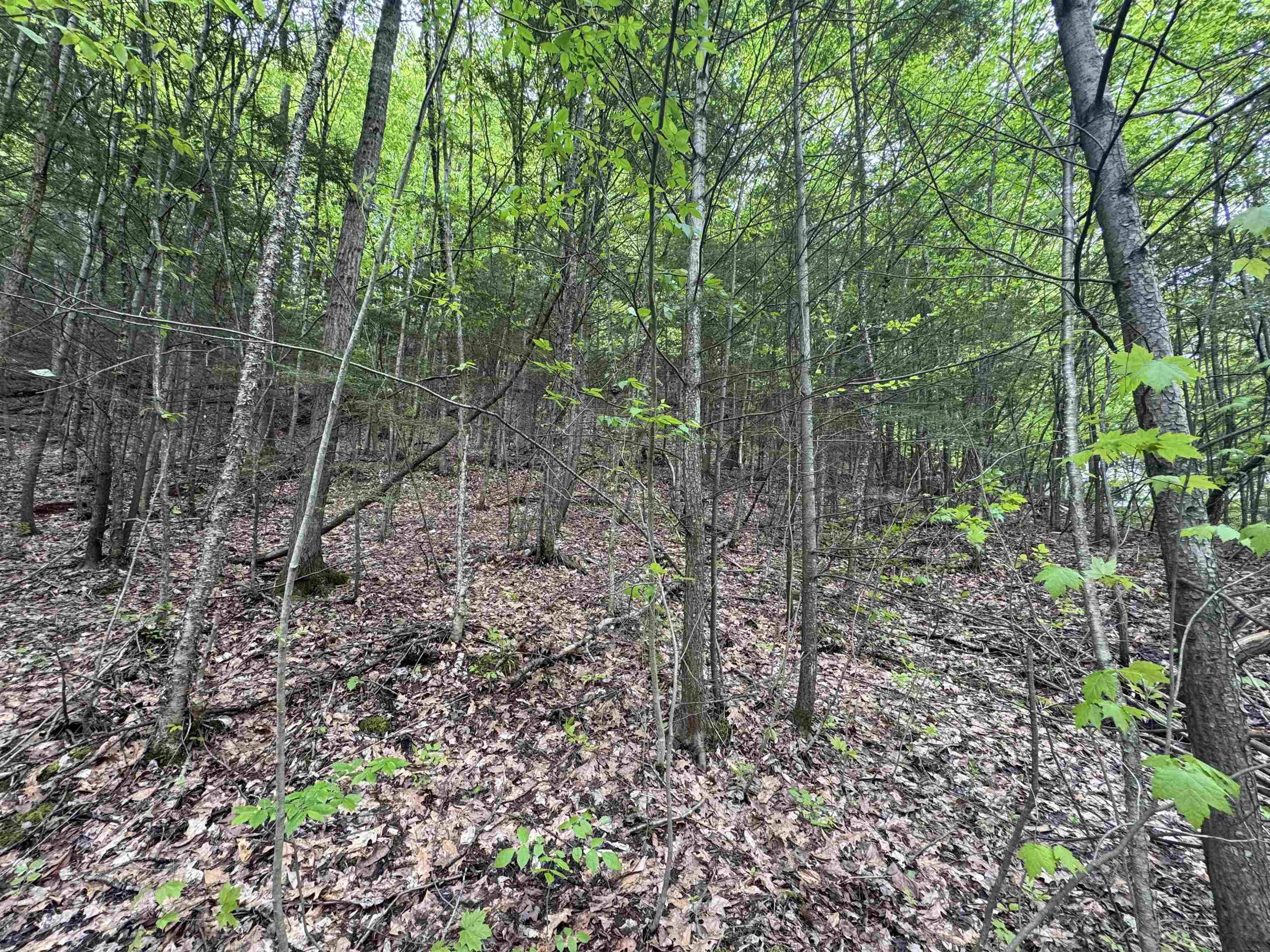 Homes for sale in Montpelier, VT | 72 Northfield St, Montpelier, VT 05602 | MLS# 5042844