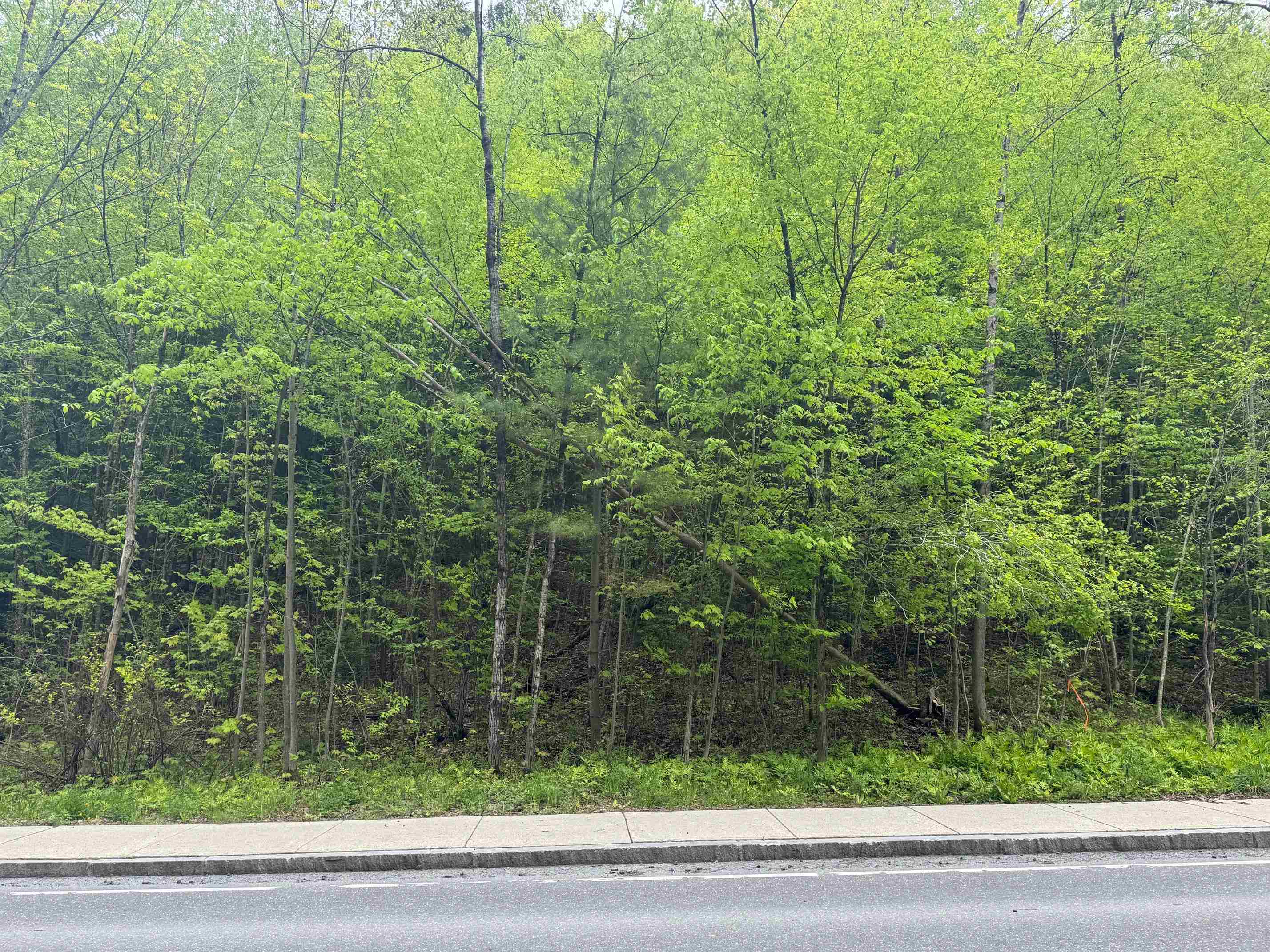 Homes for sale in Montpelier, VT | 72 Northfield St, Montpelier, VT 05602 | MLS# 5042844