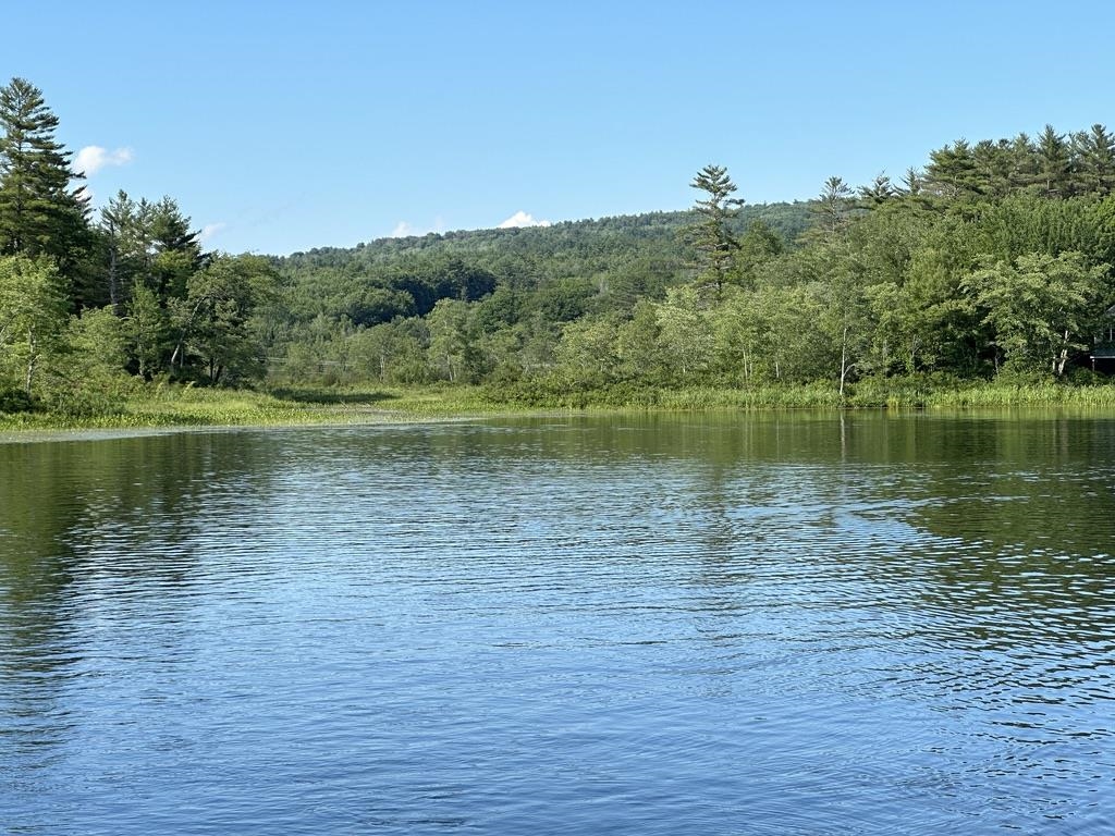 MLS #5042917 image #31