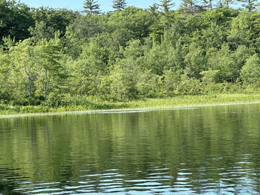 MLS #5042917 image #31